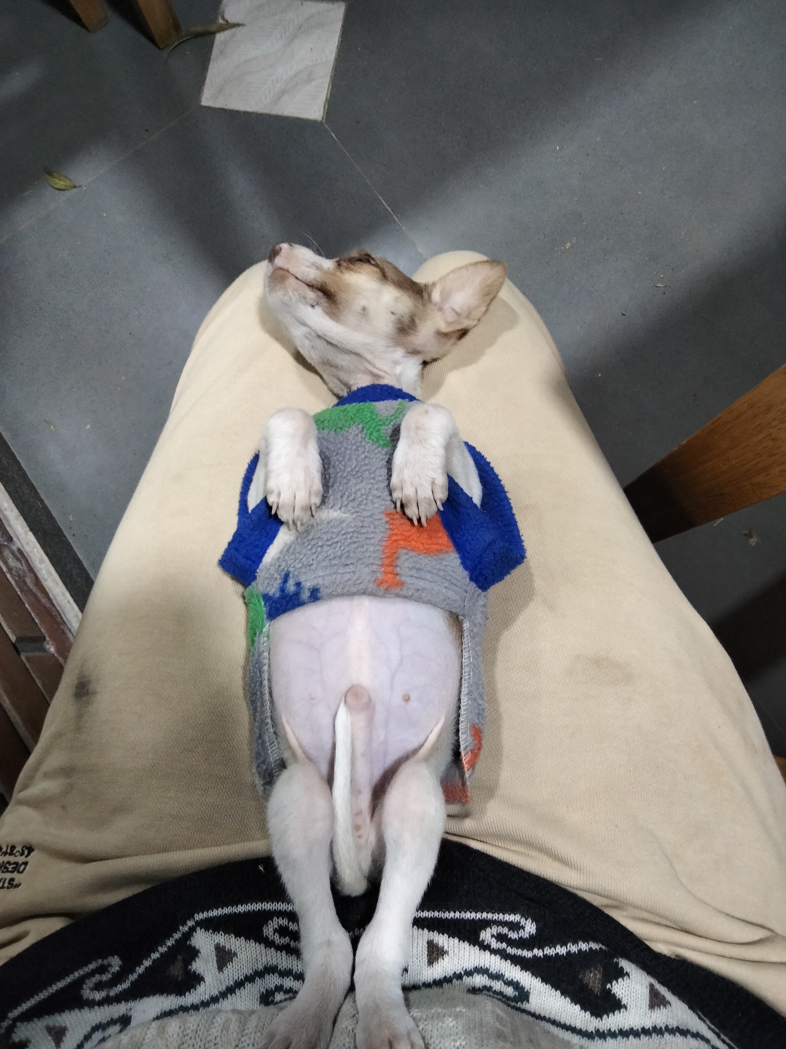 image-5