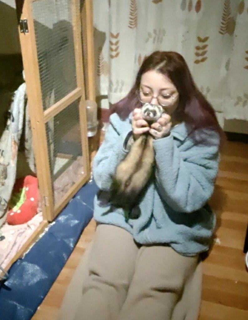image-13
