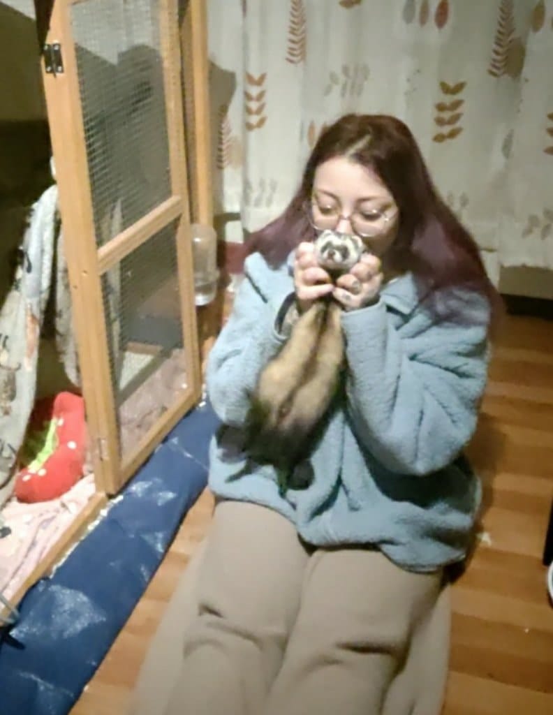 image-13