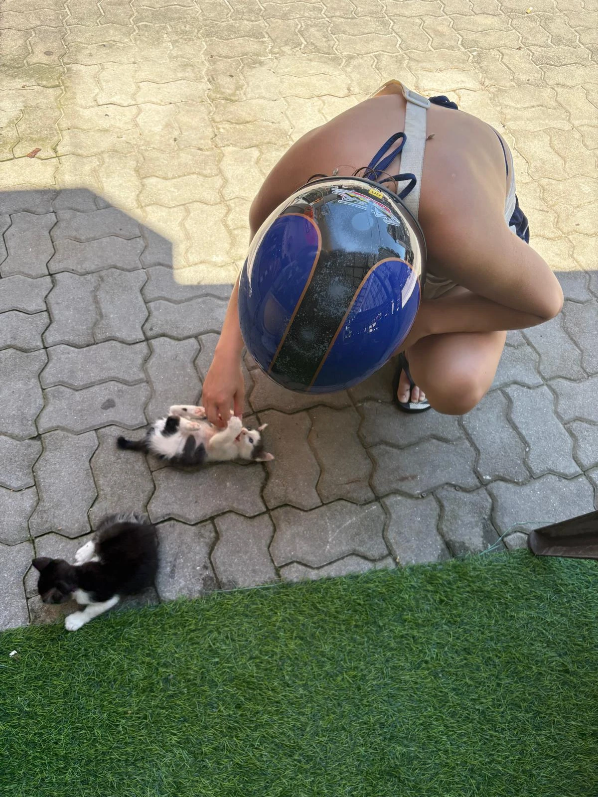 image-6