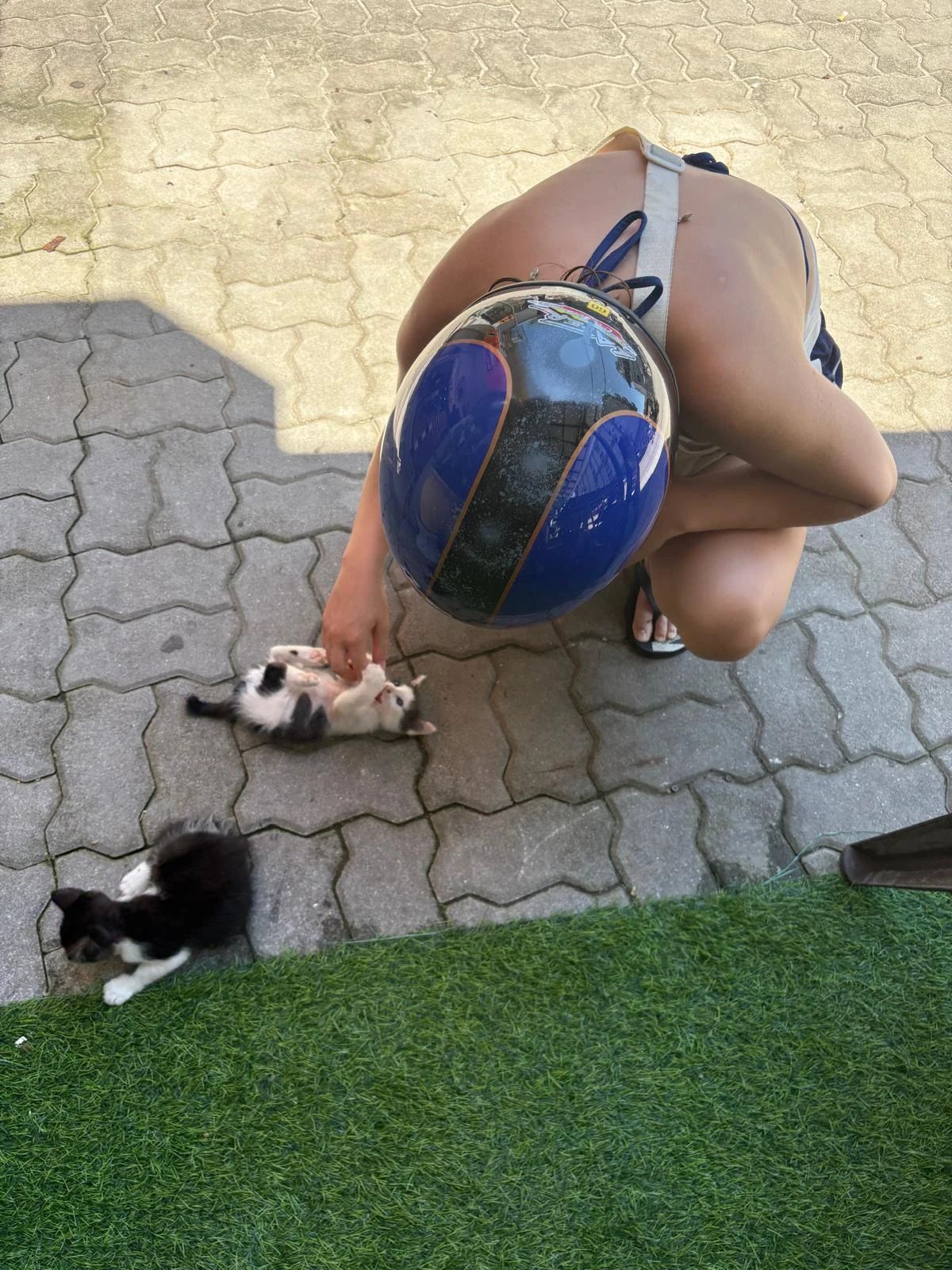 image-6