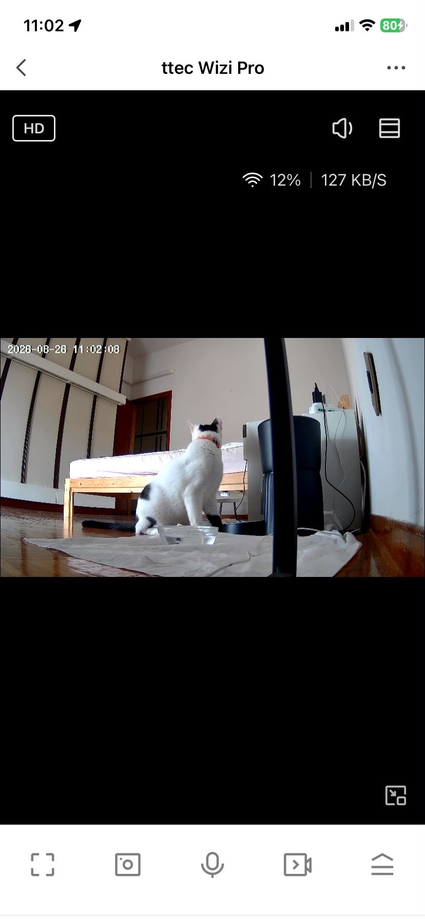 image-19