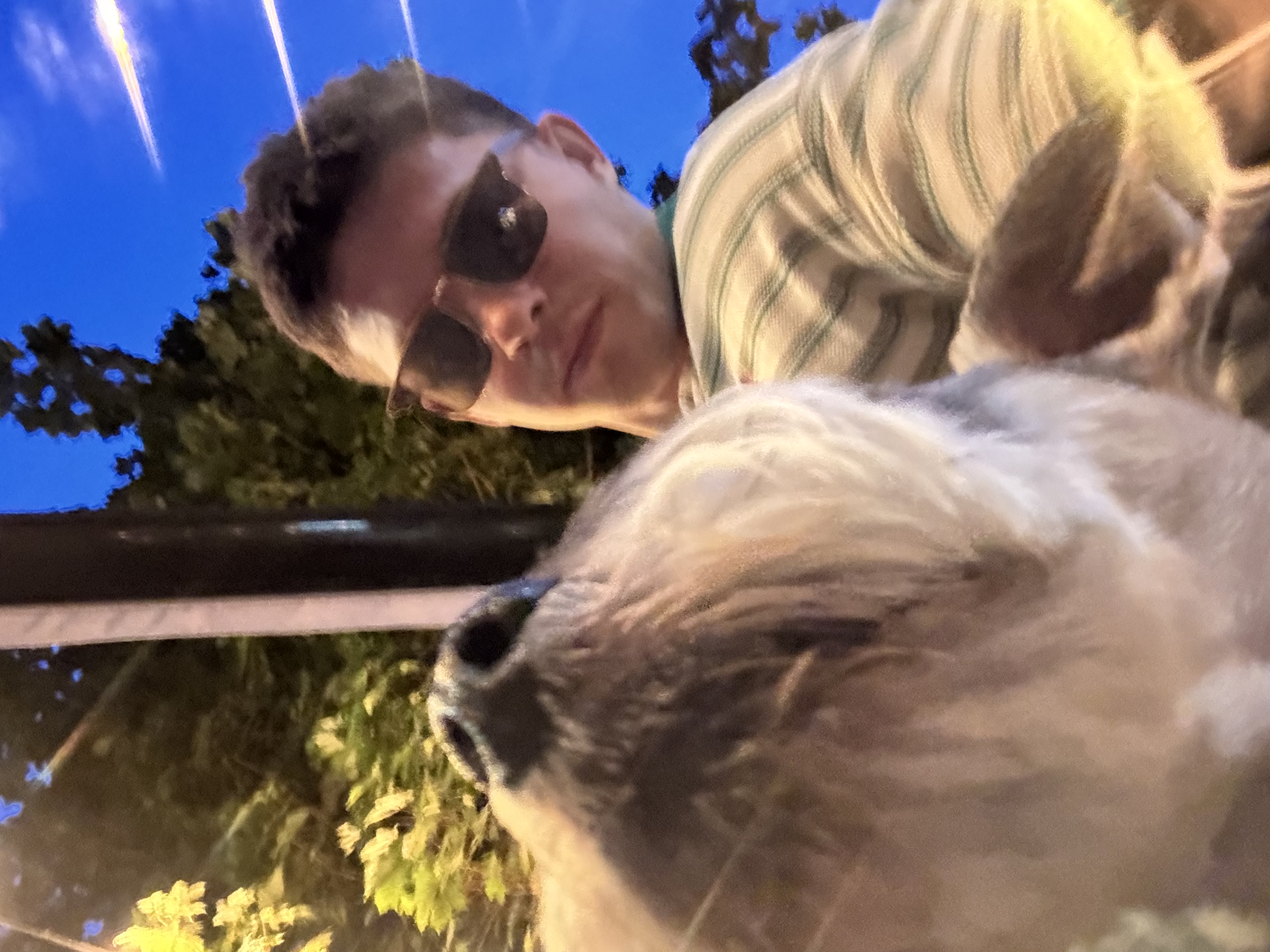 image-6