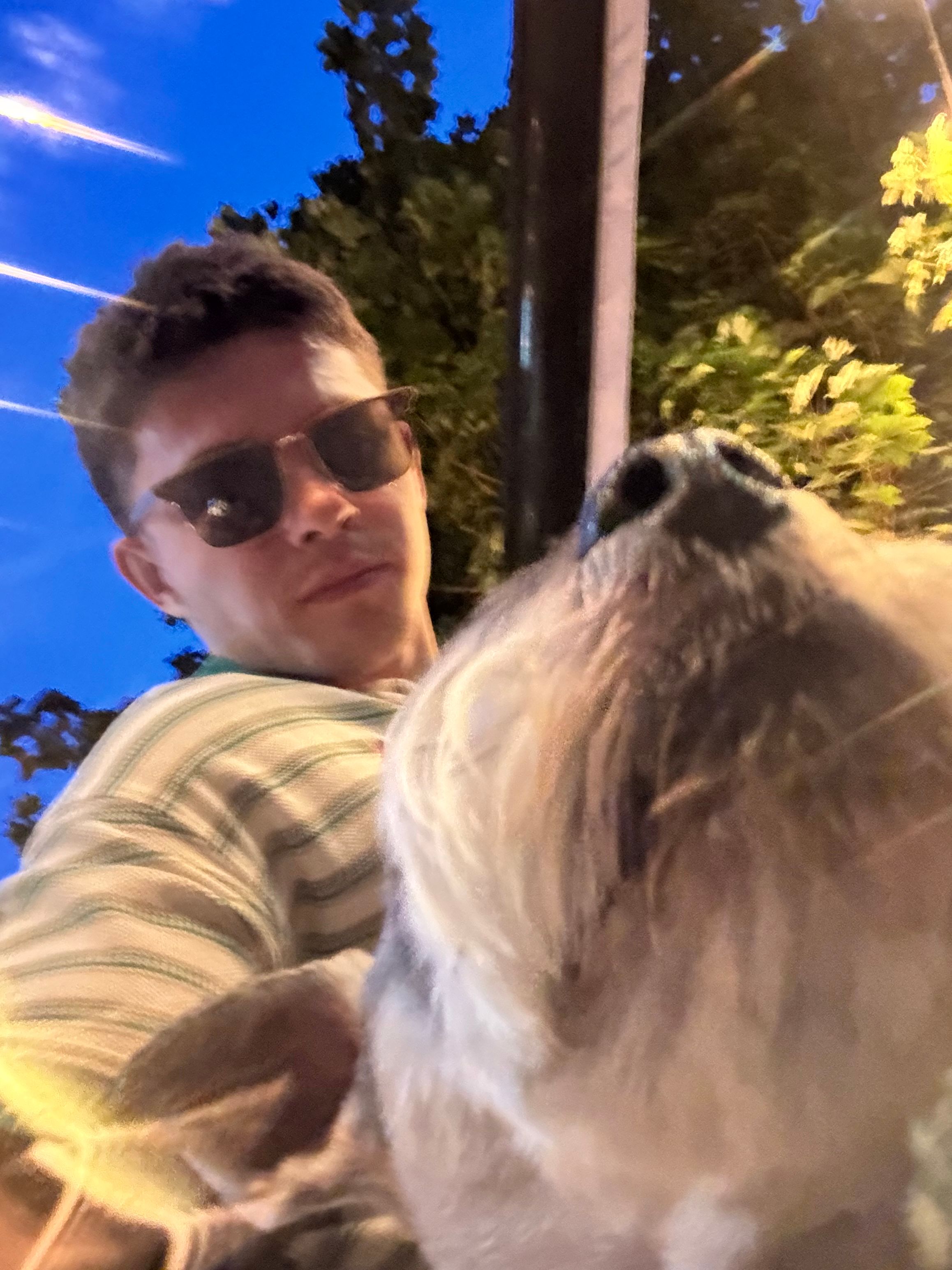 image-6