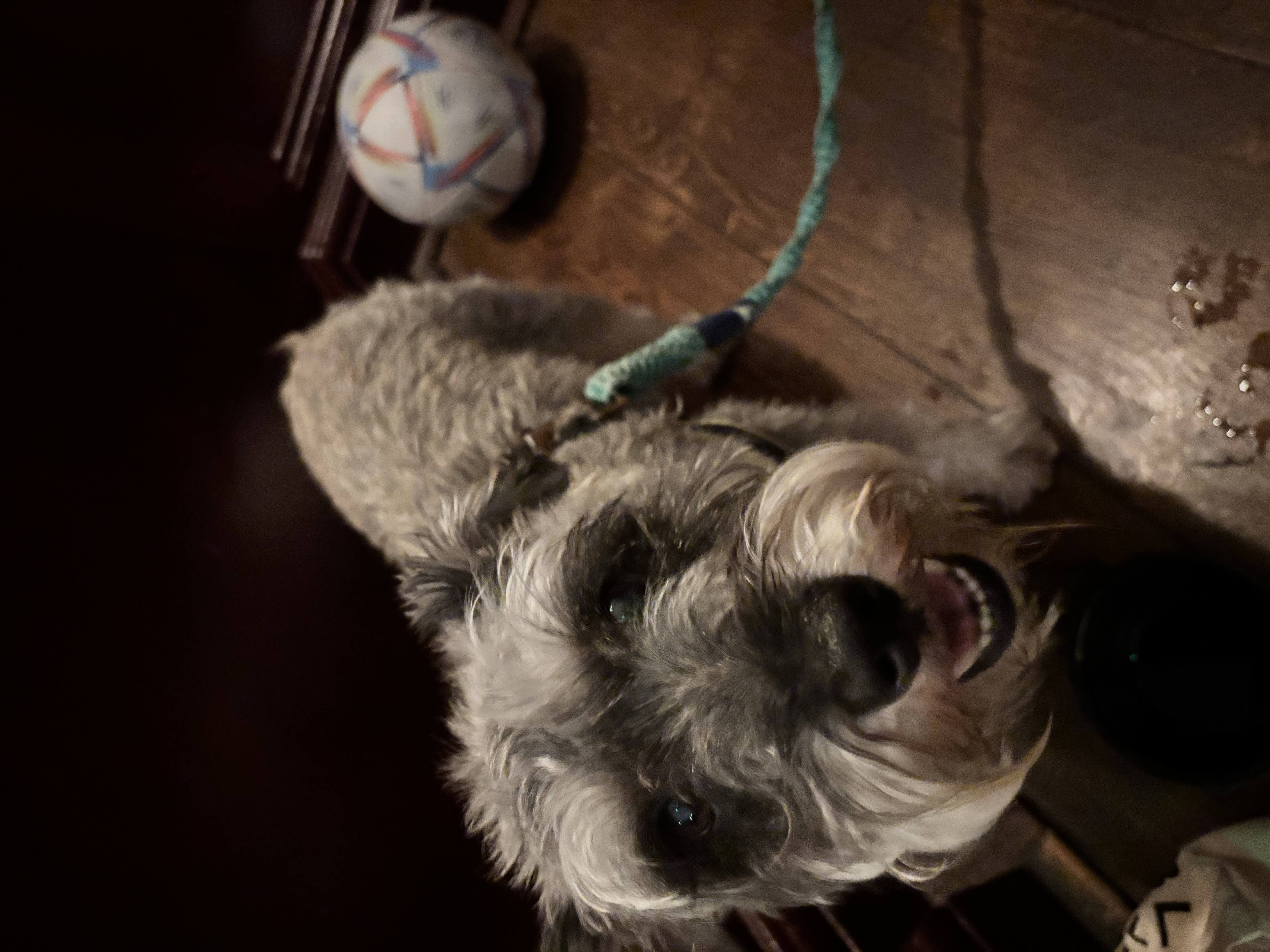 image-9