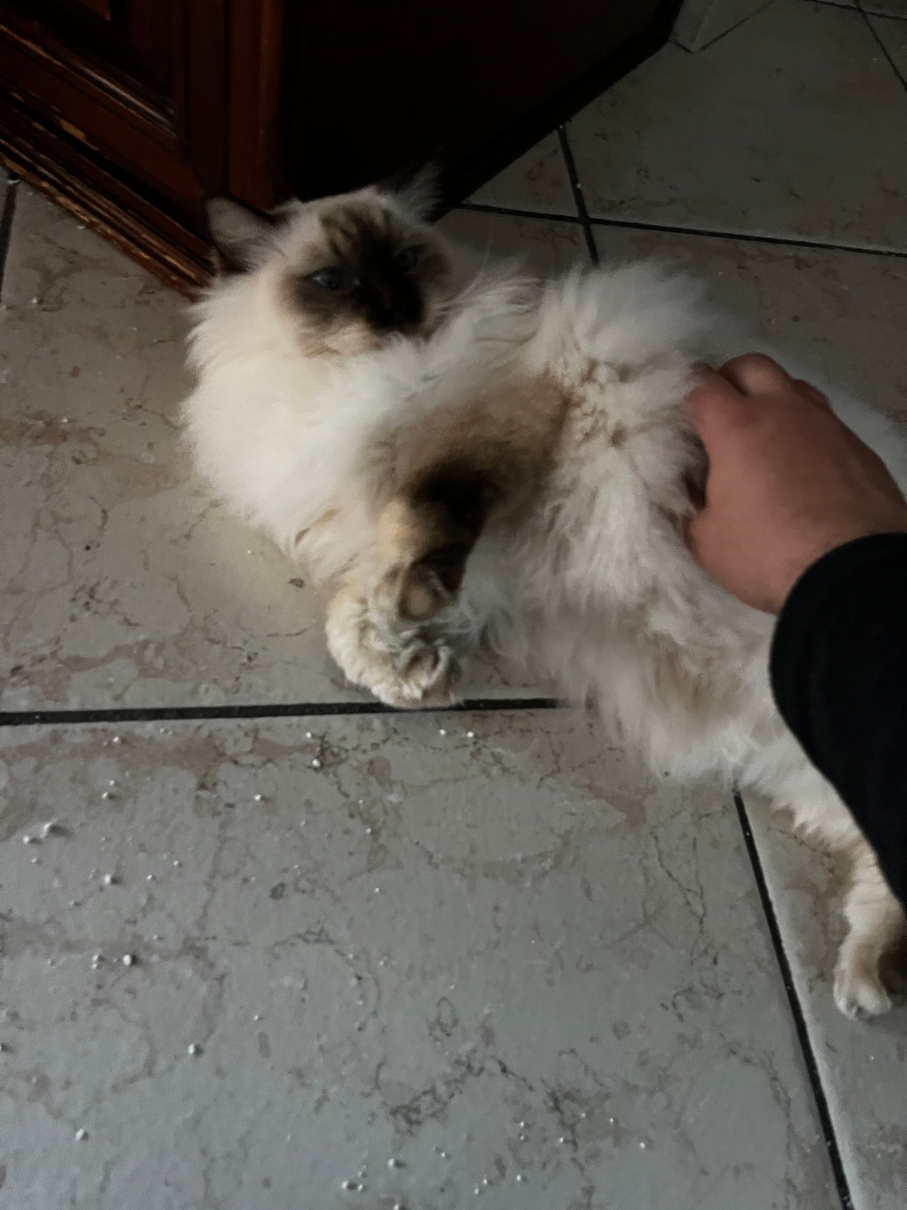 image-15