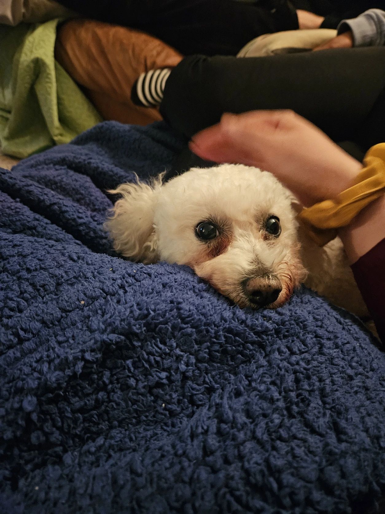 image-7