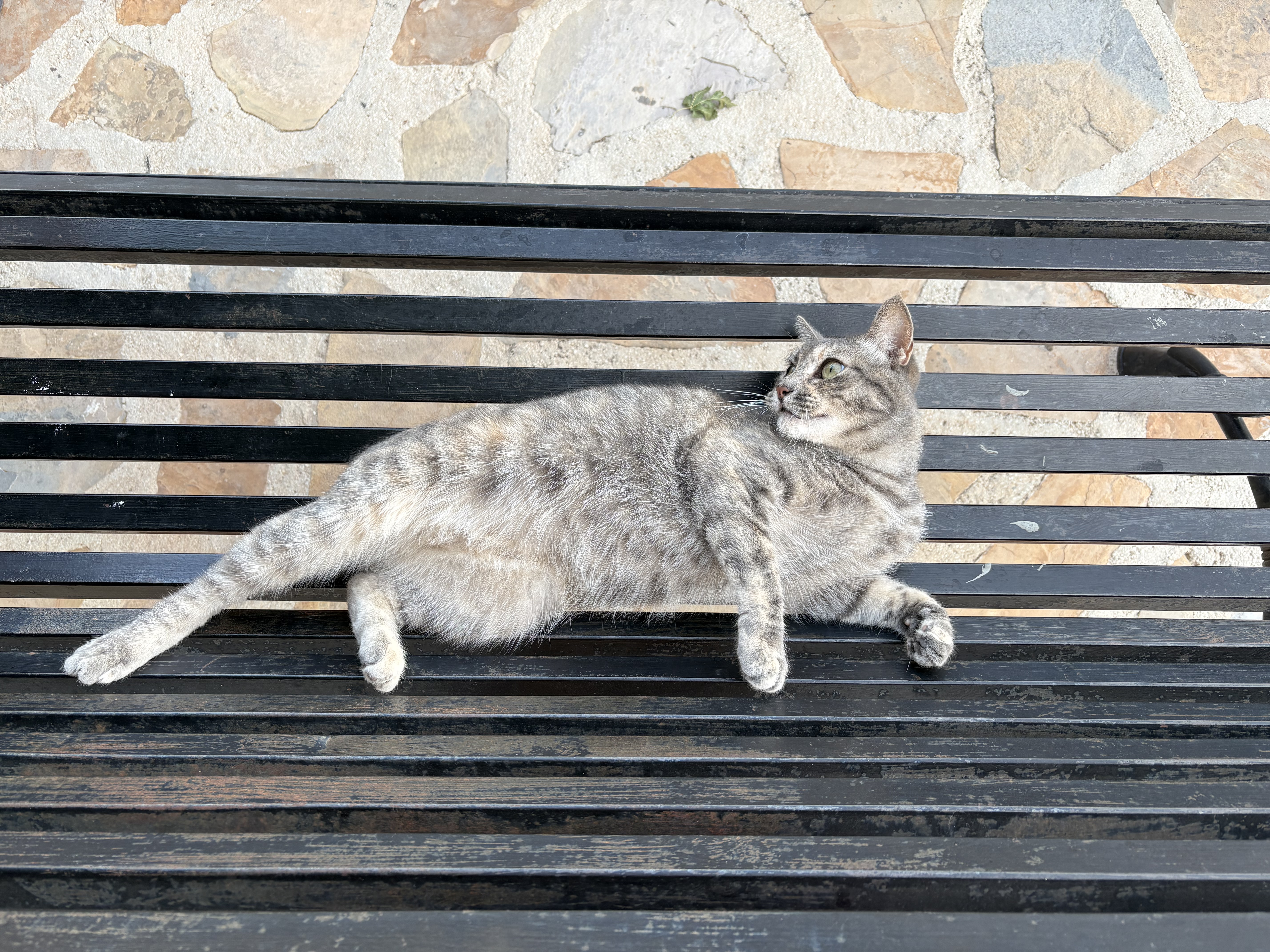 image-5