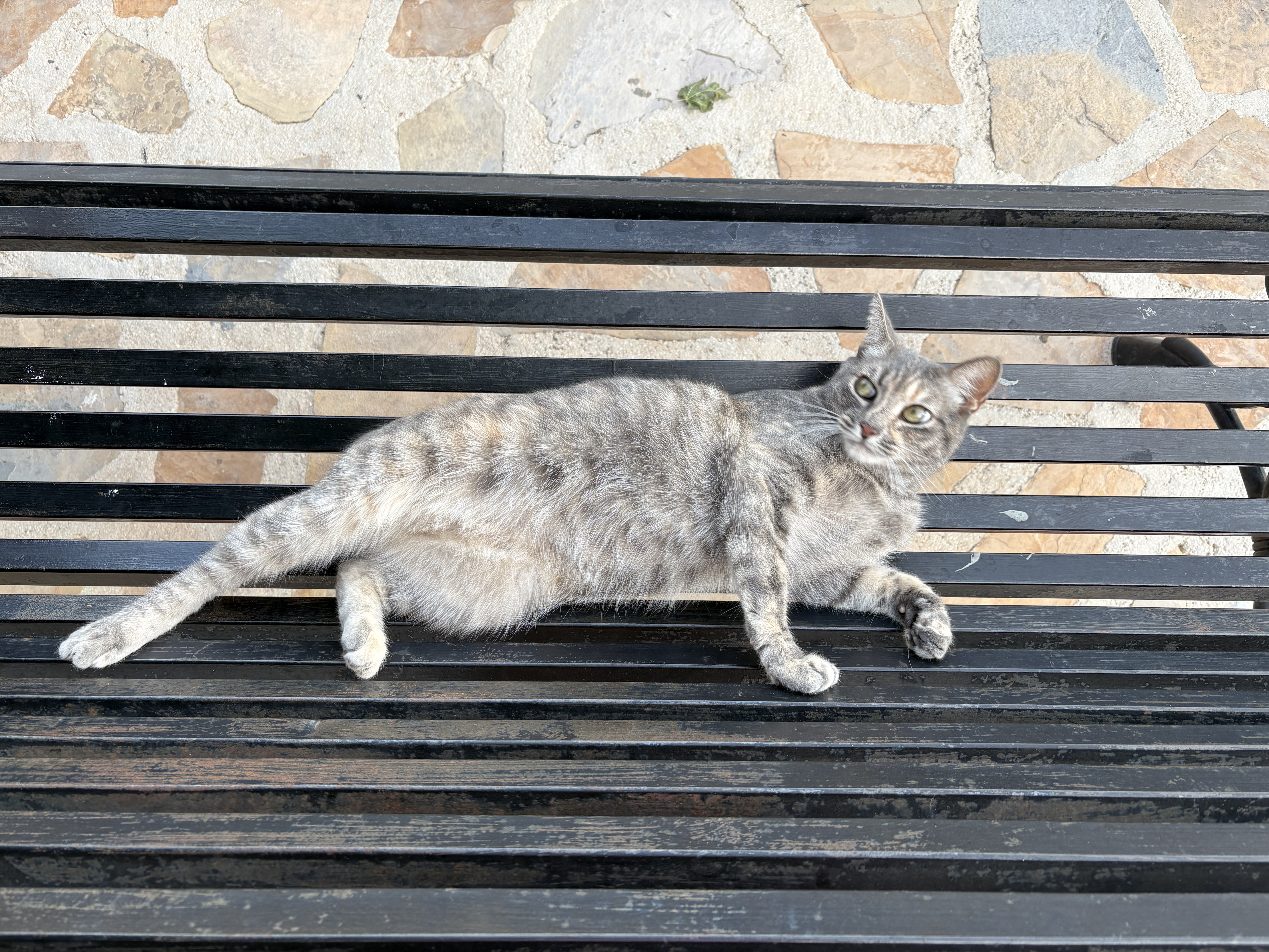 image-8