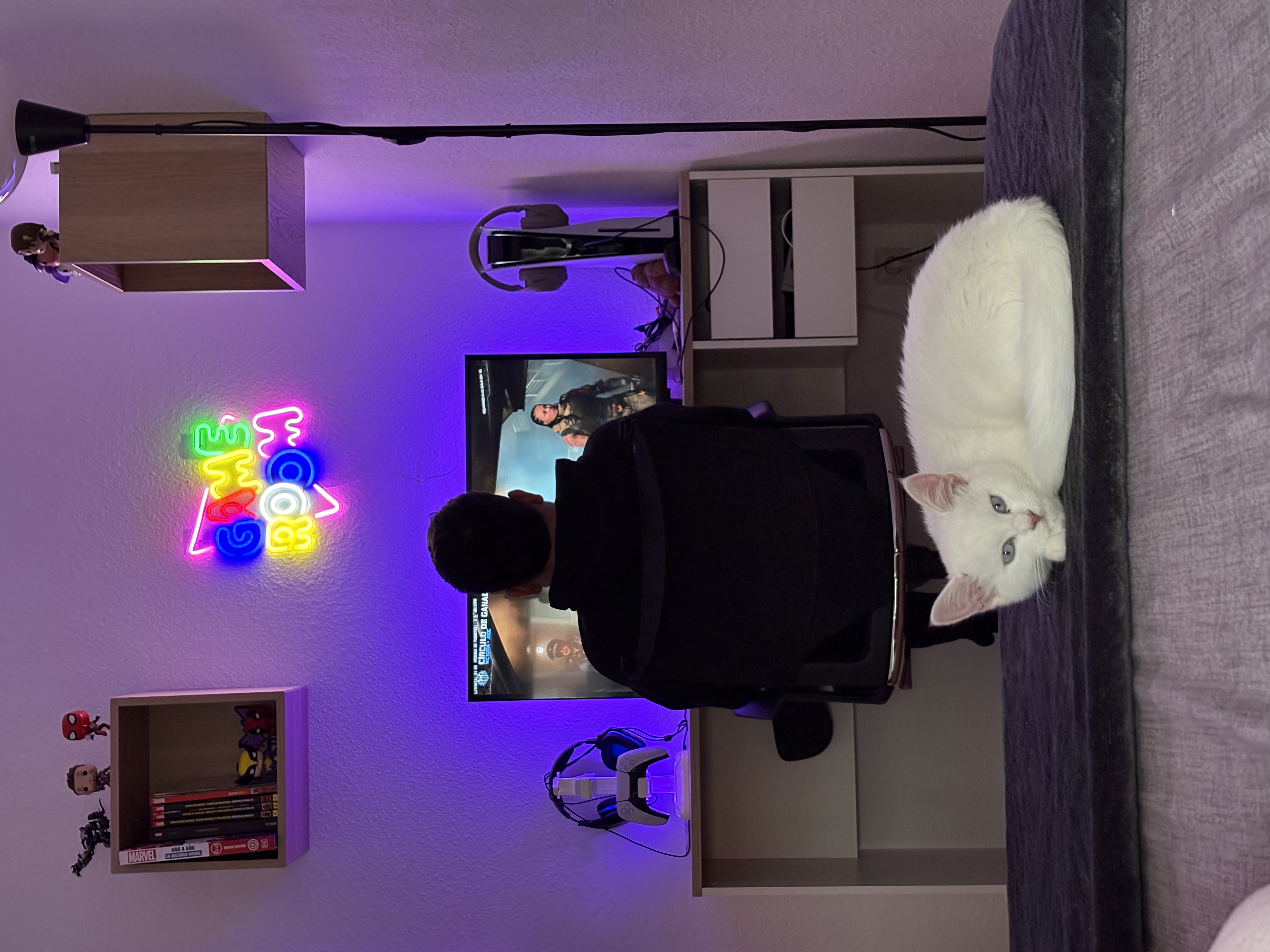 image-10