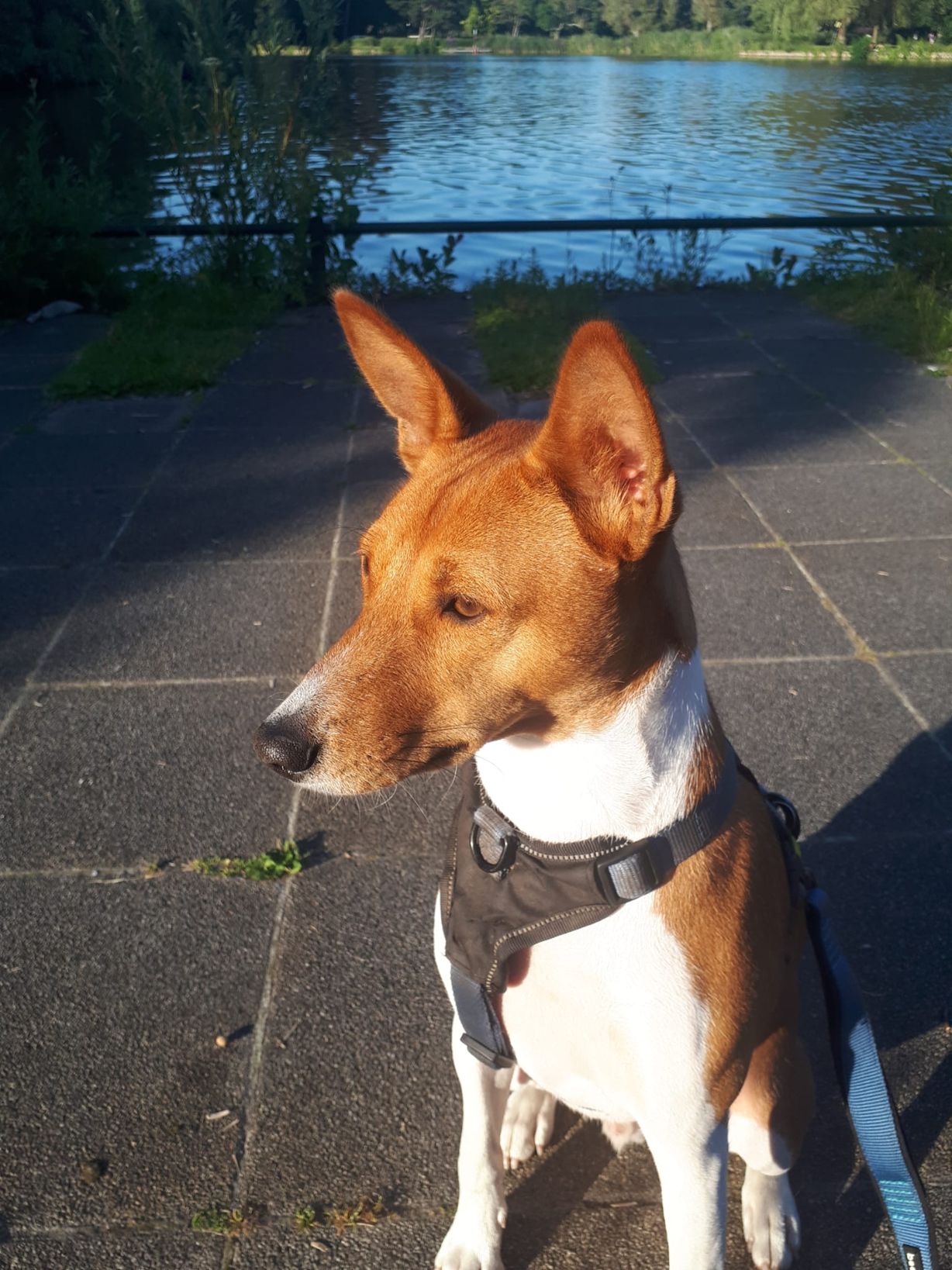 image-7