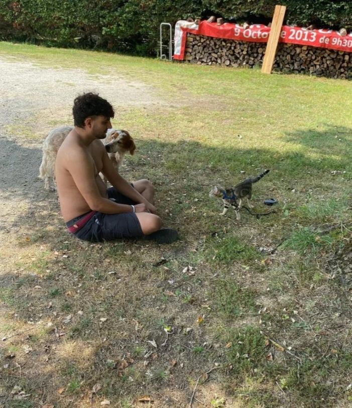 image-3