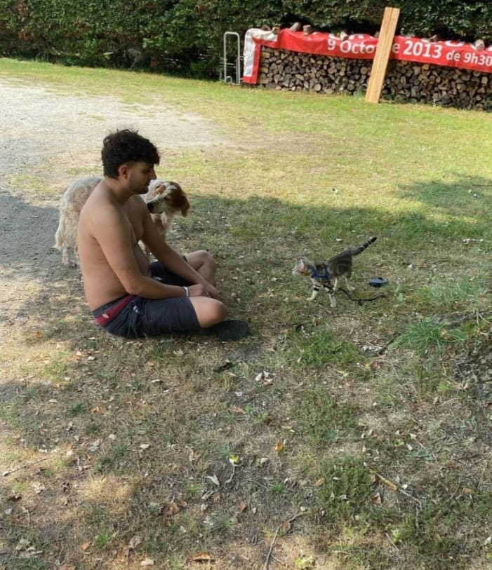 image-3