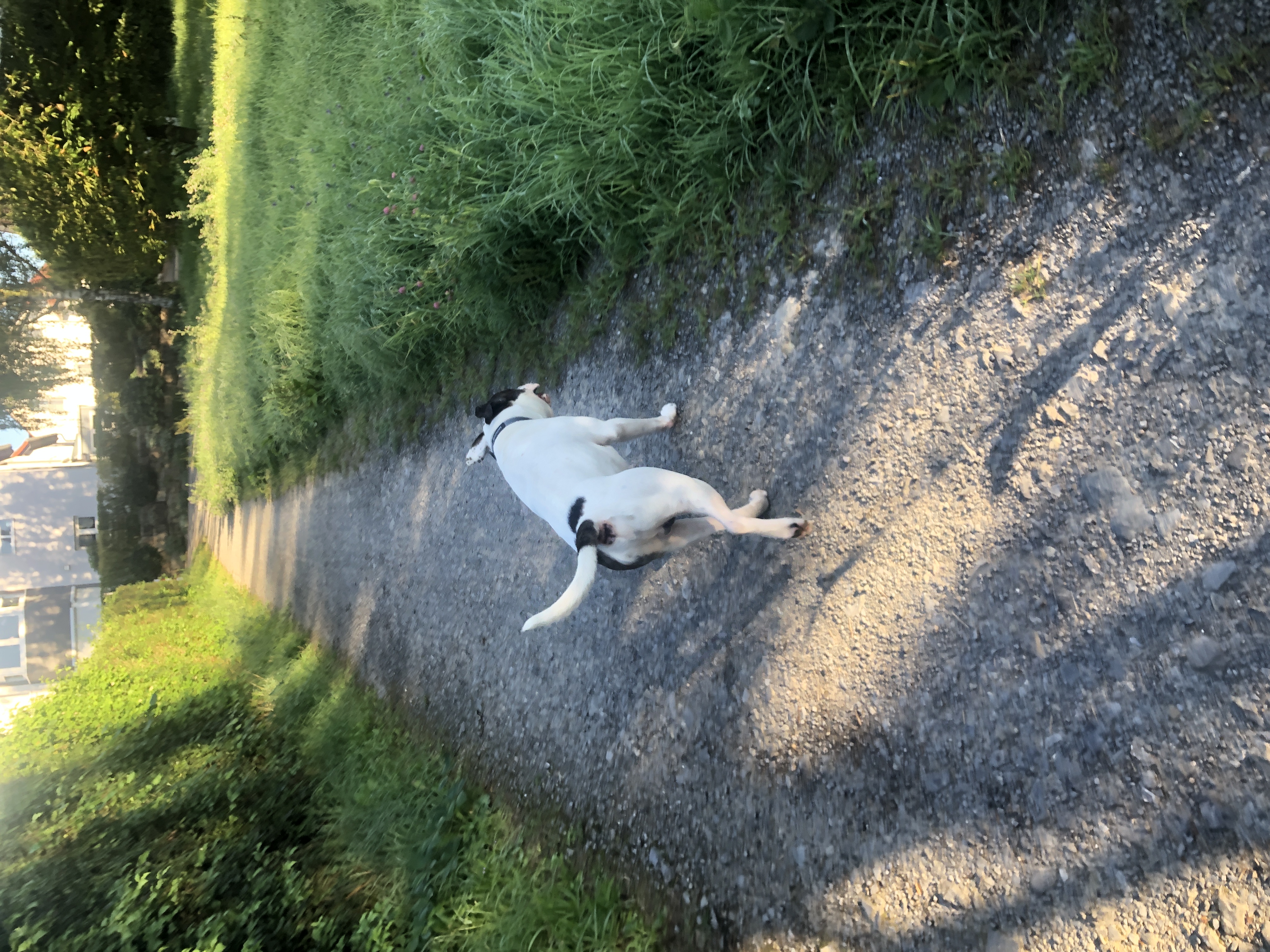image-16