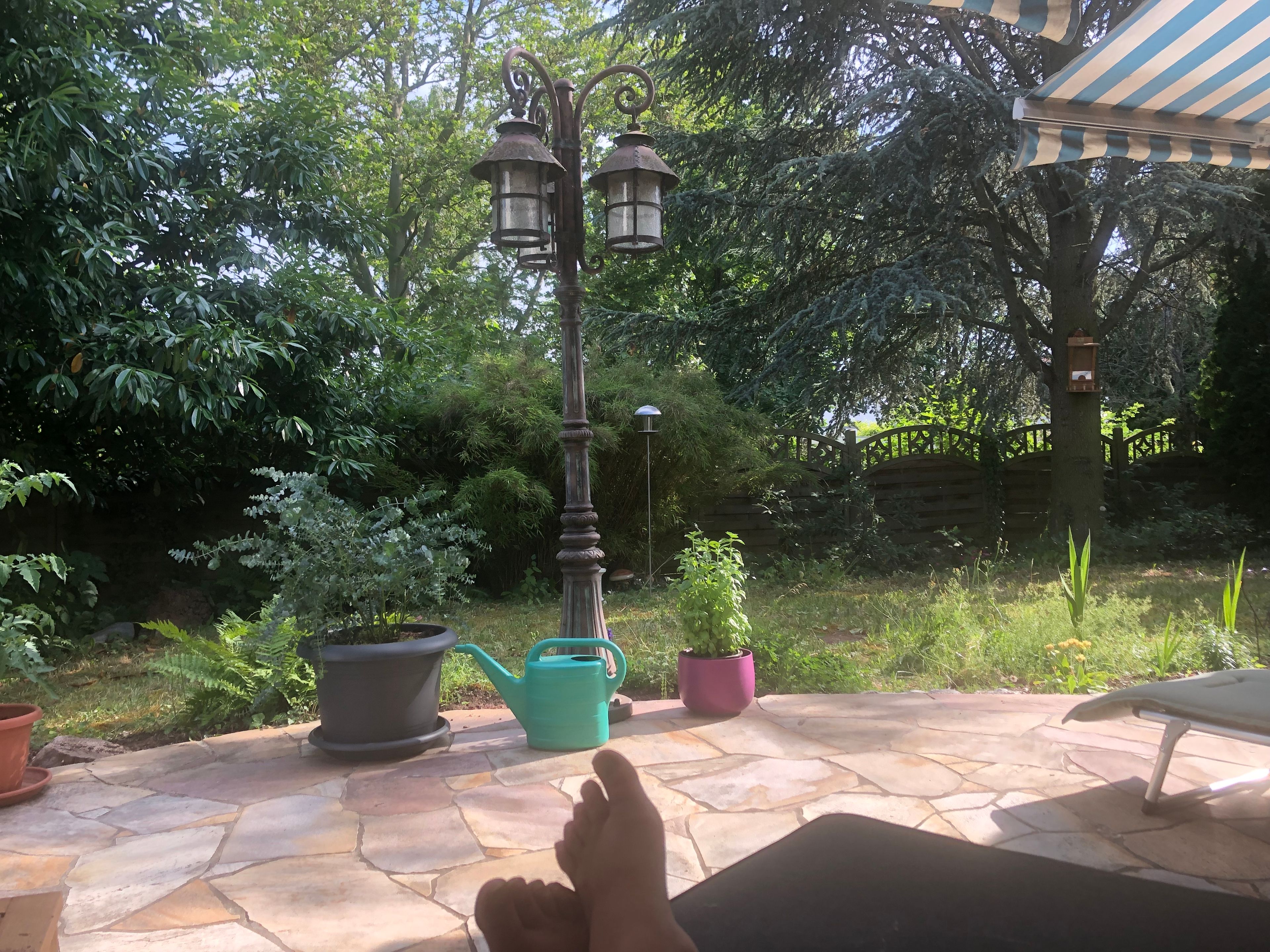 image-24