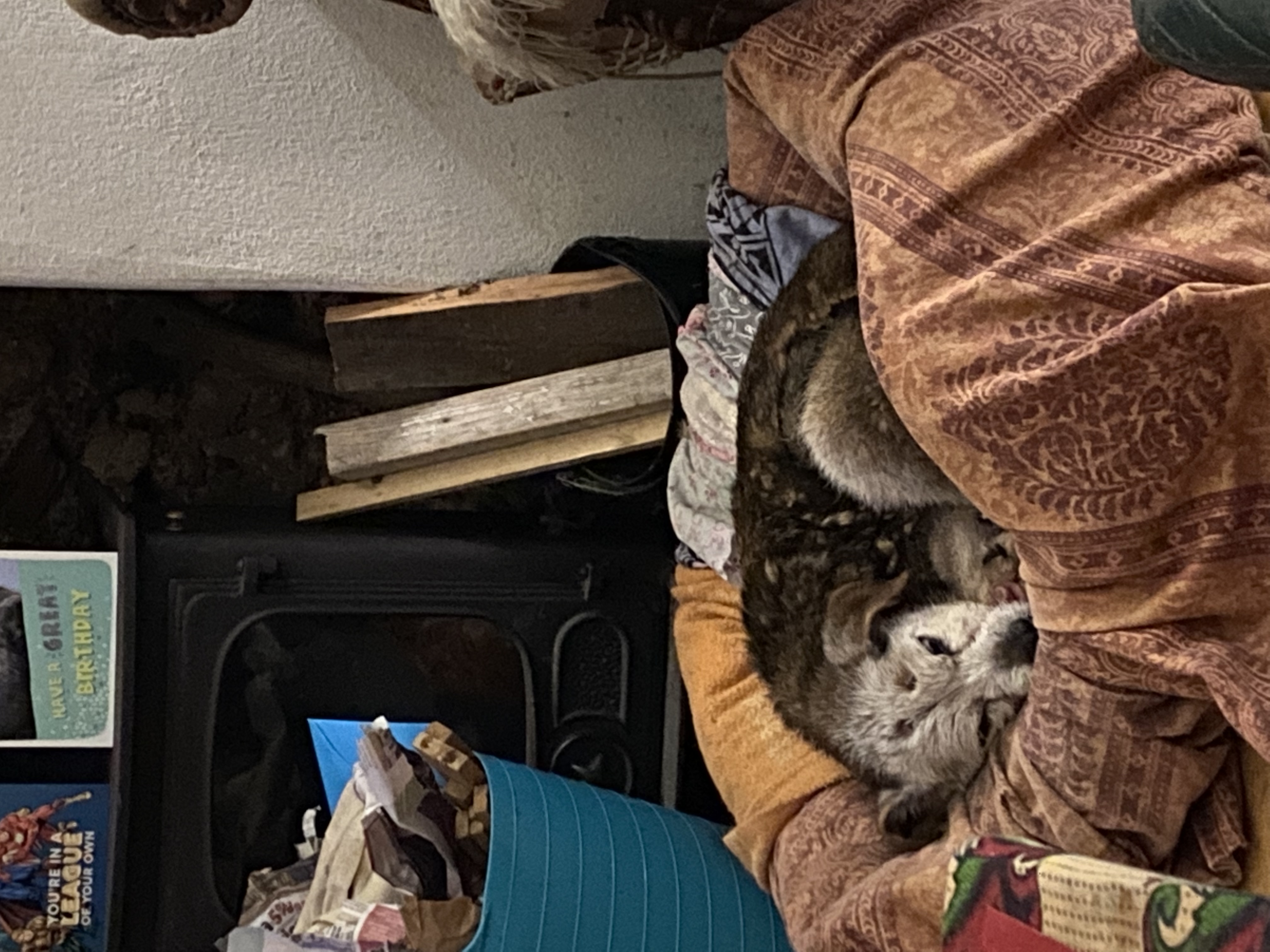 image-12