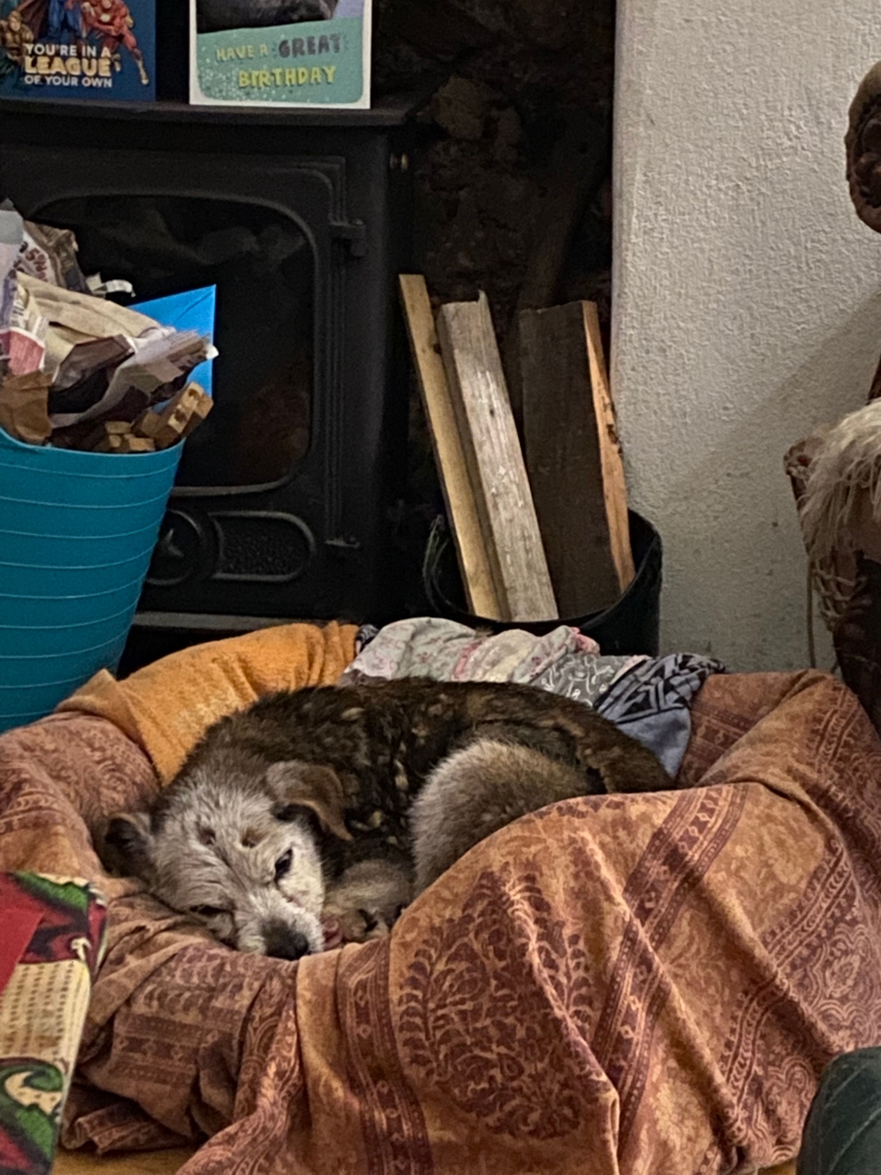 image-12