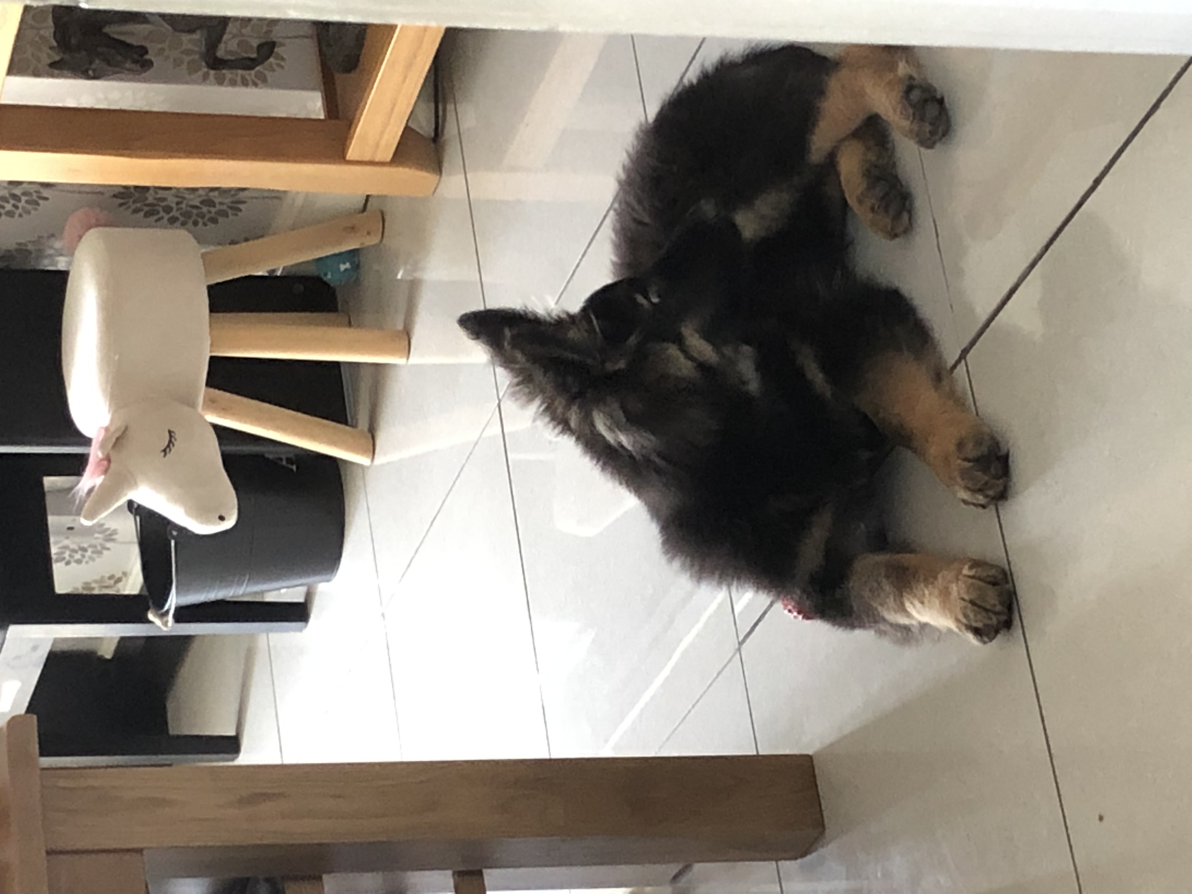 image-11