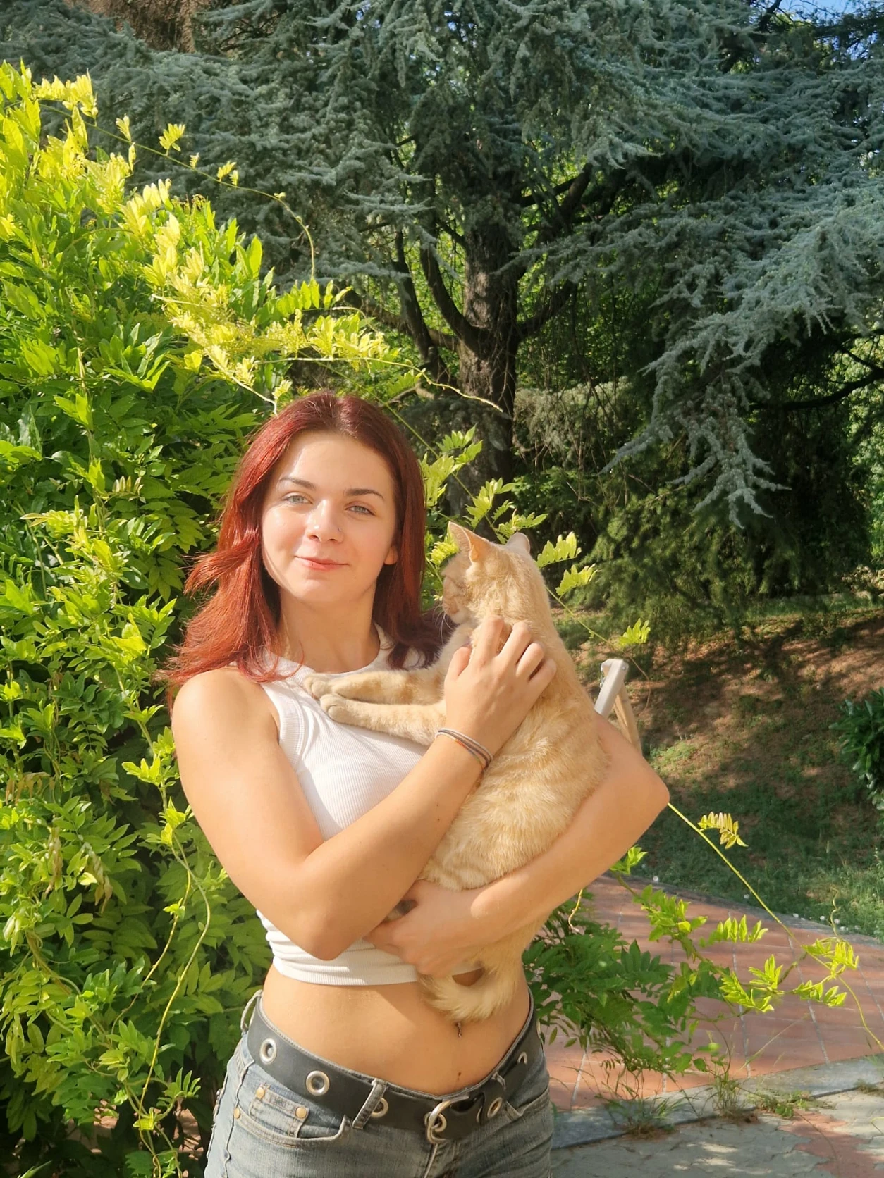 image-5