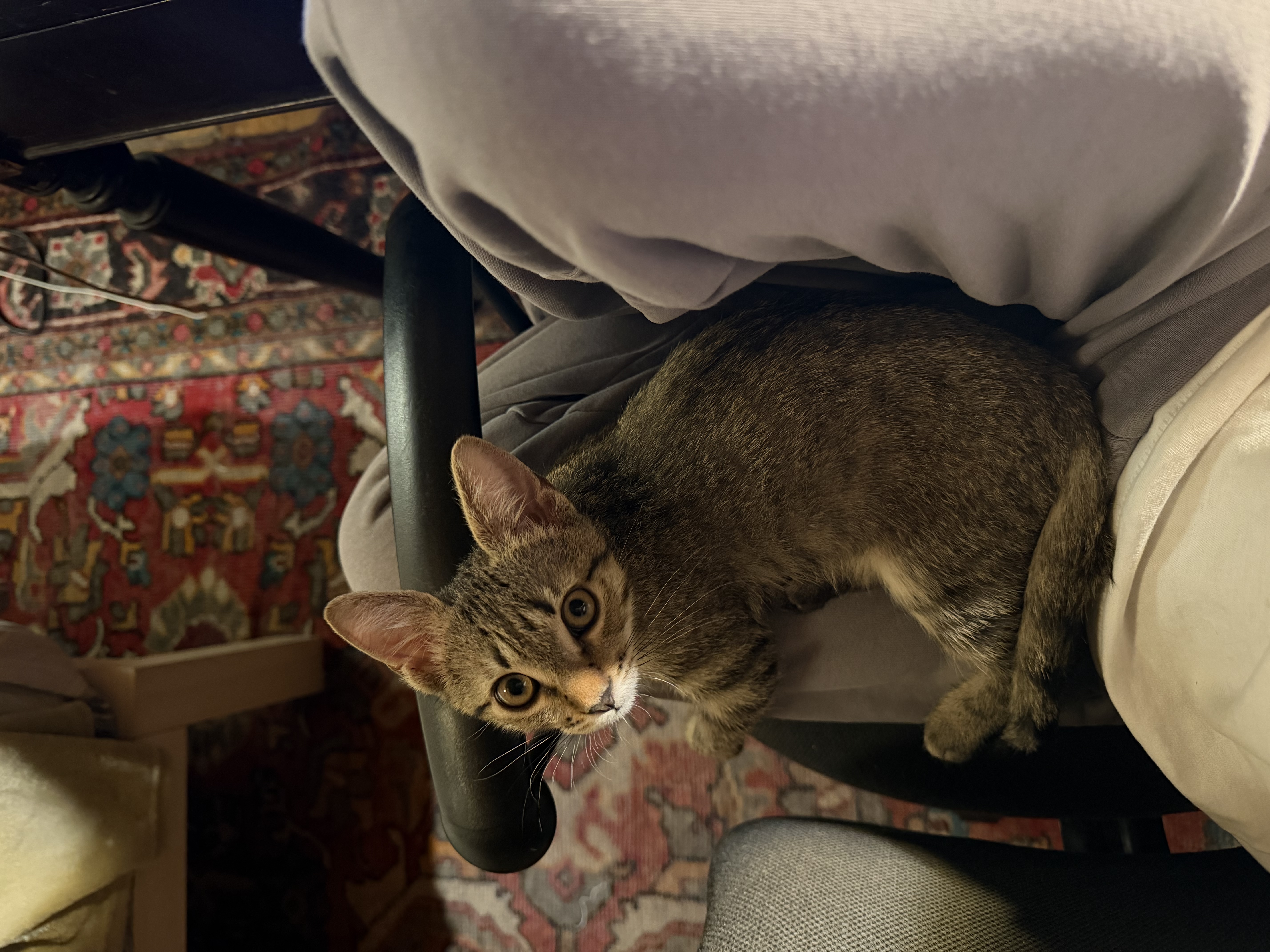 image-6
