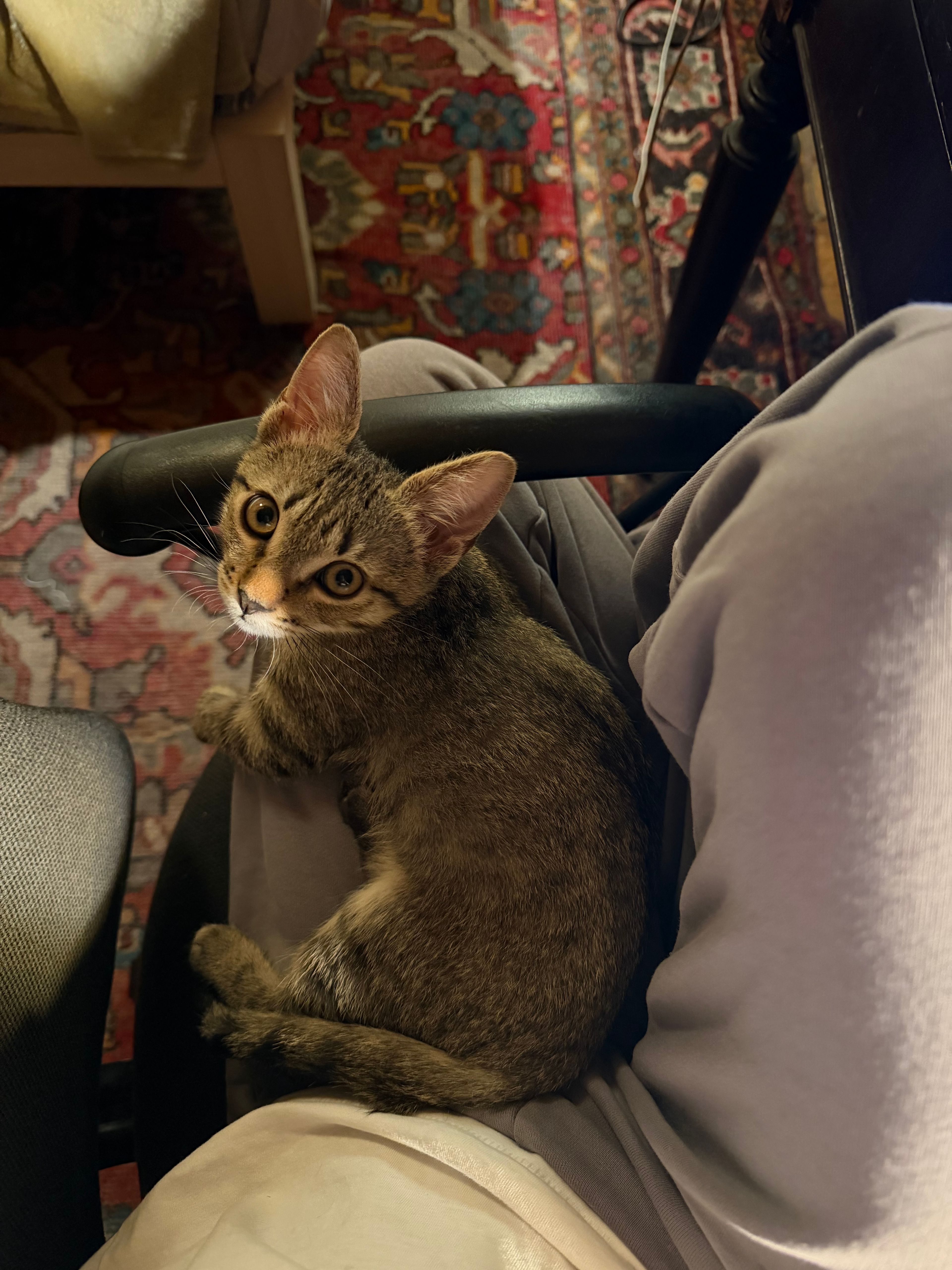 image-6