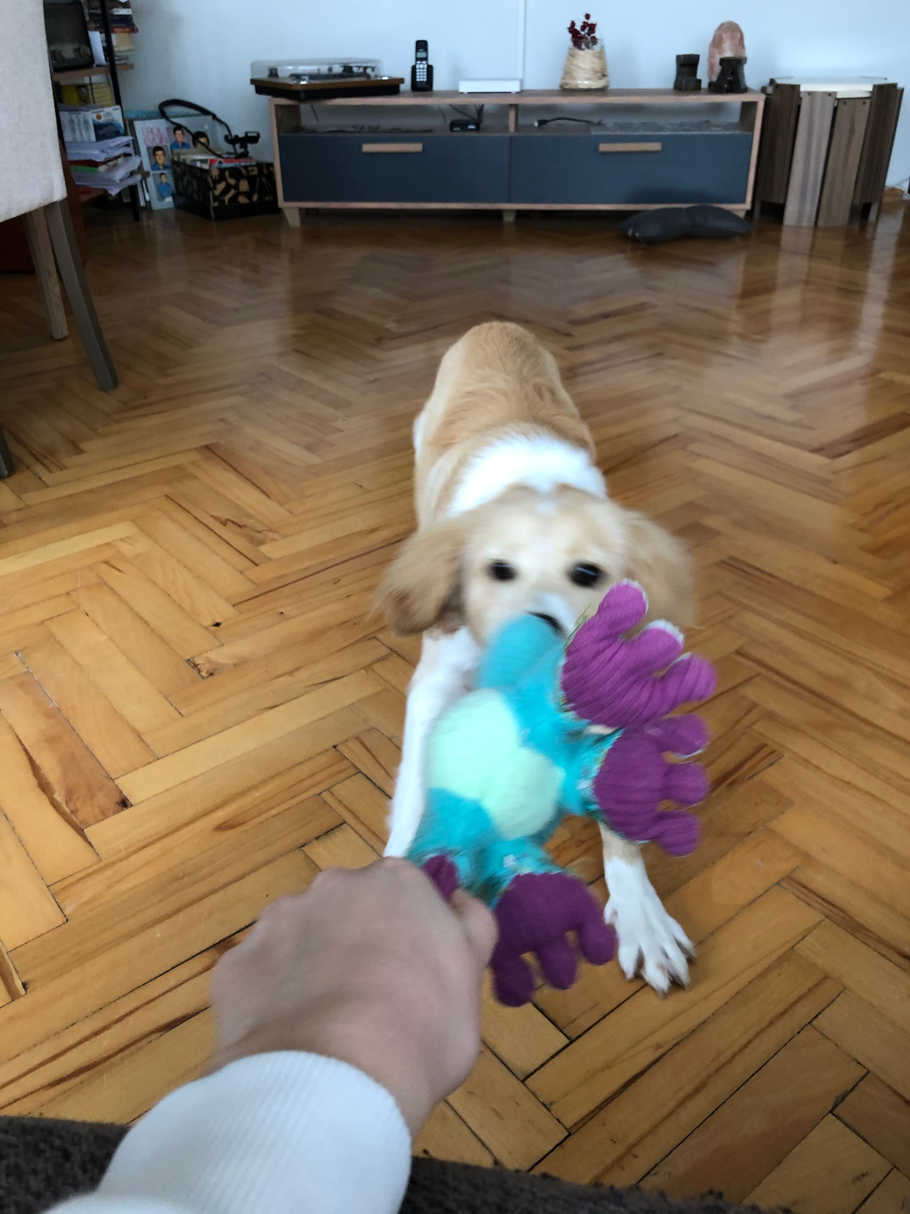 image-4