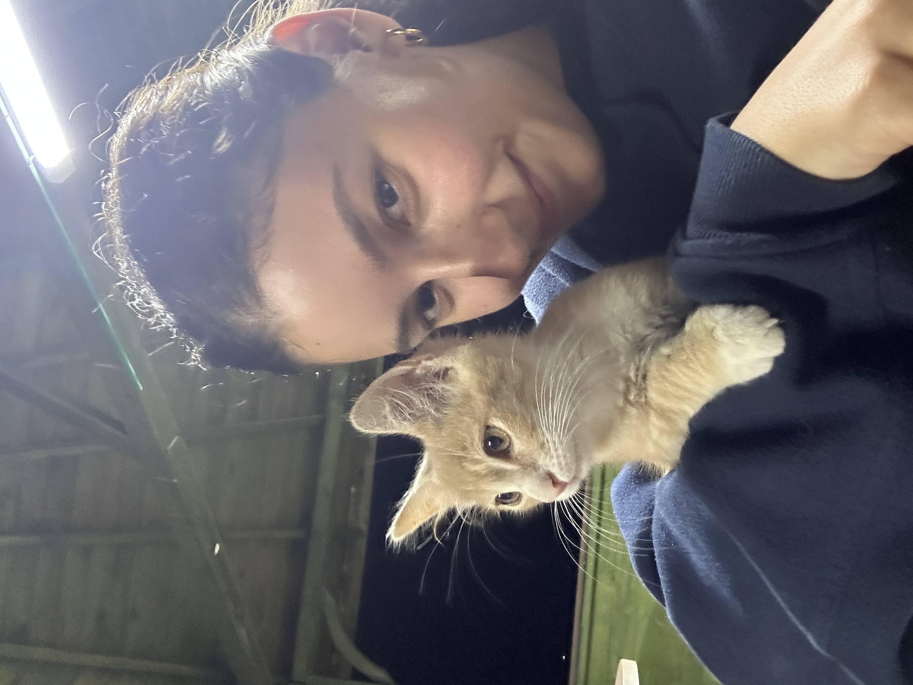 image-8