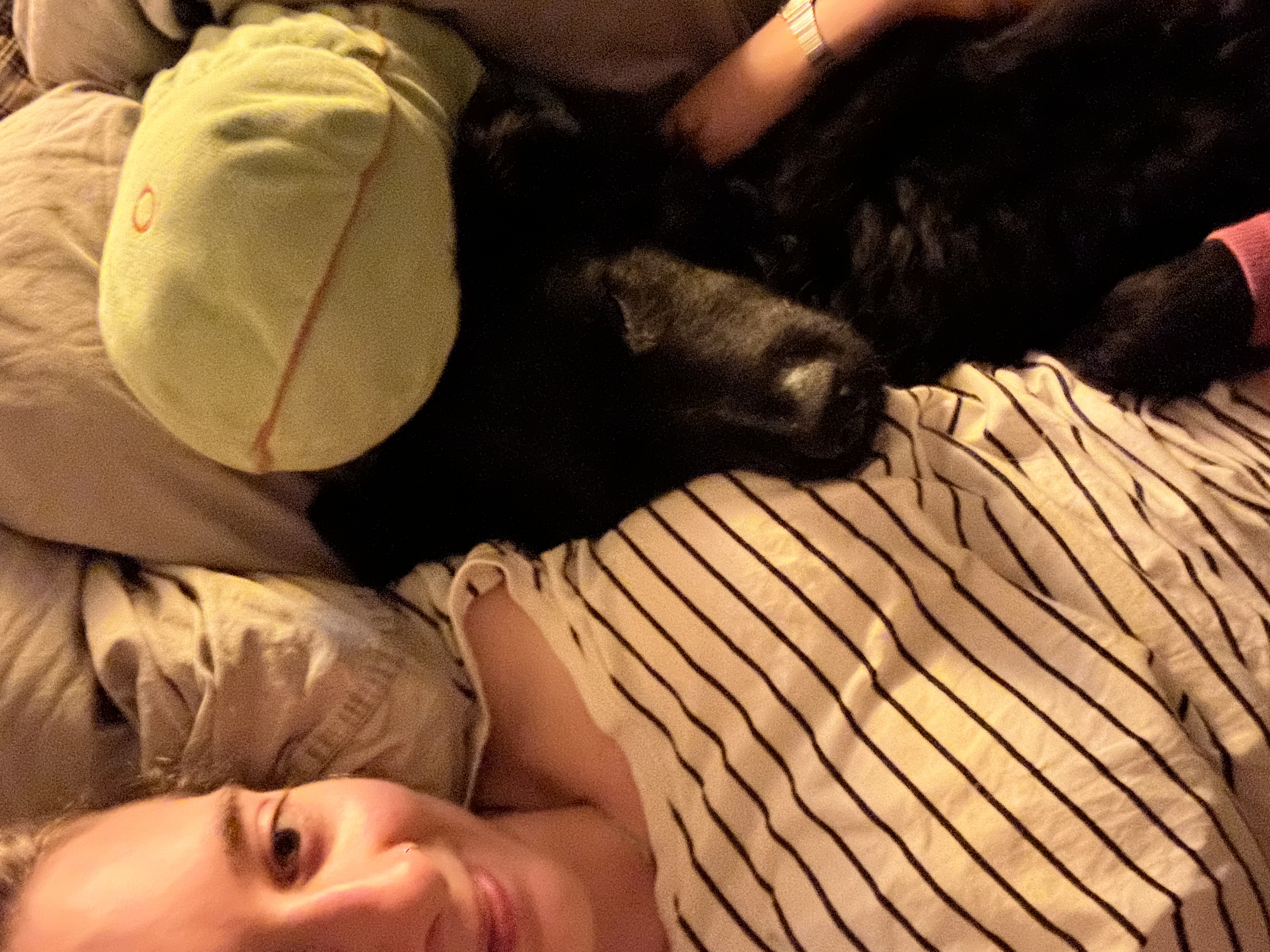 image-12