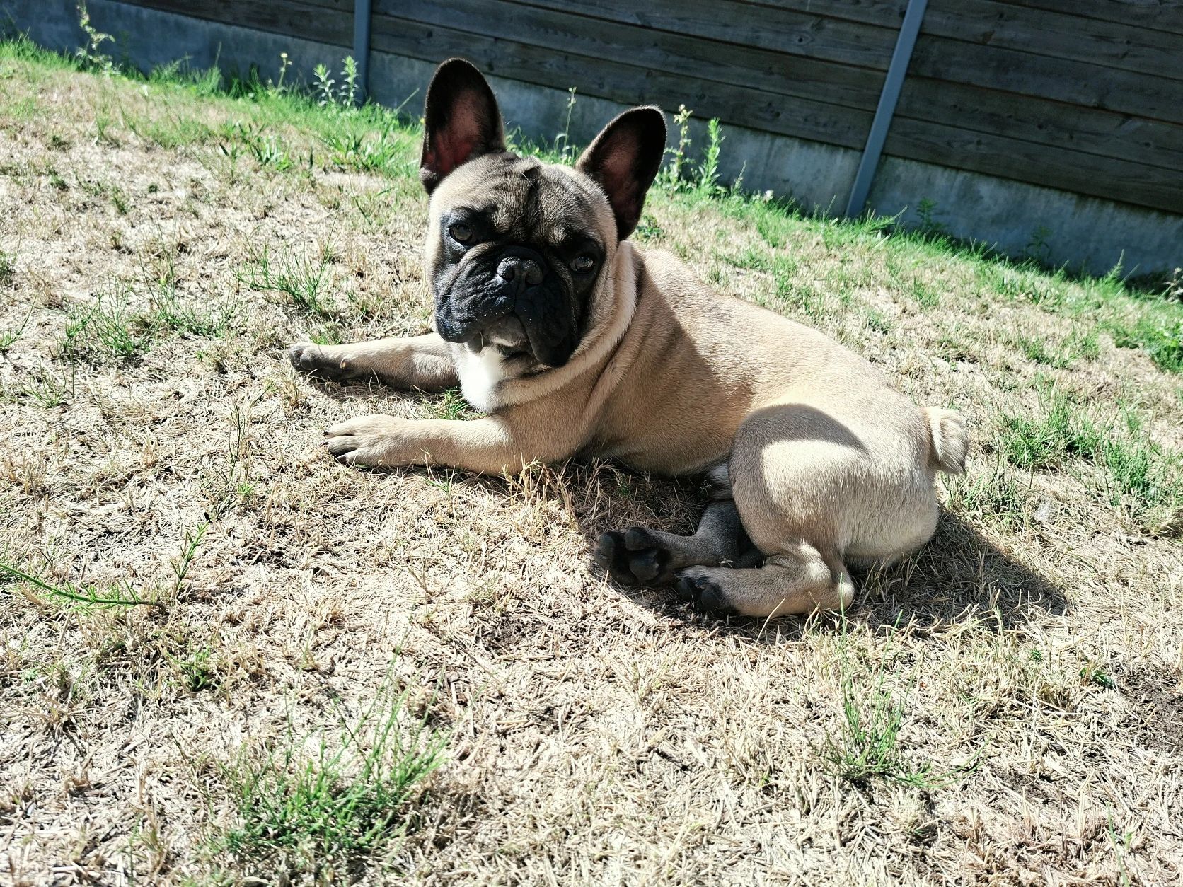 image-4