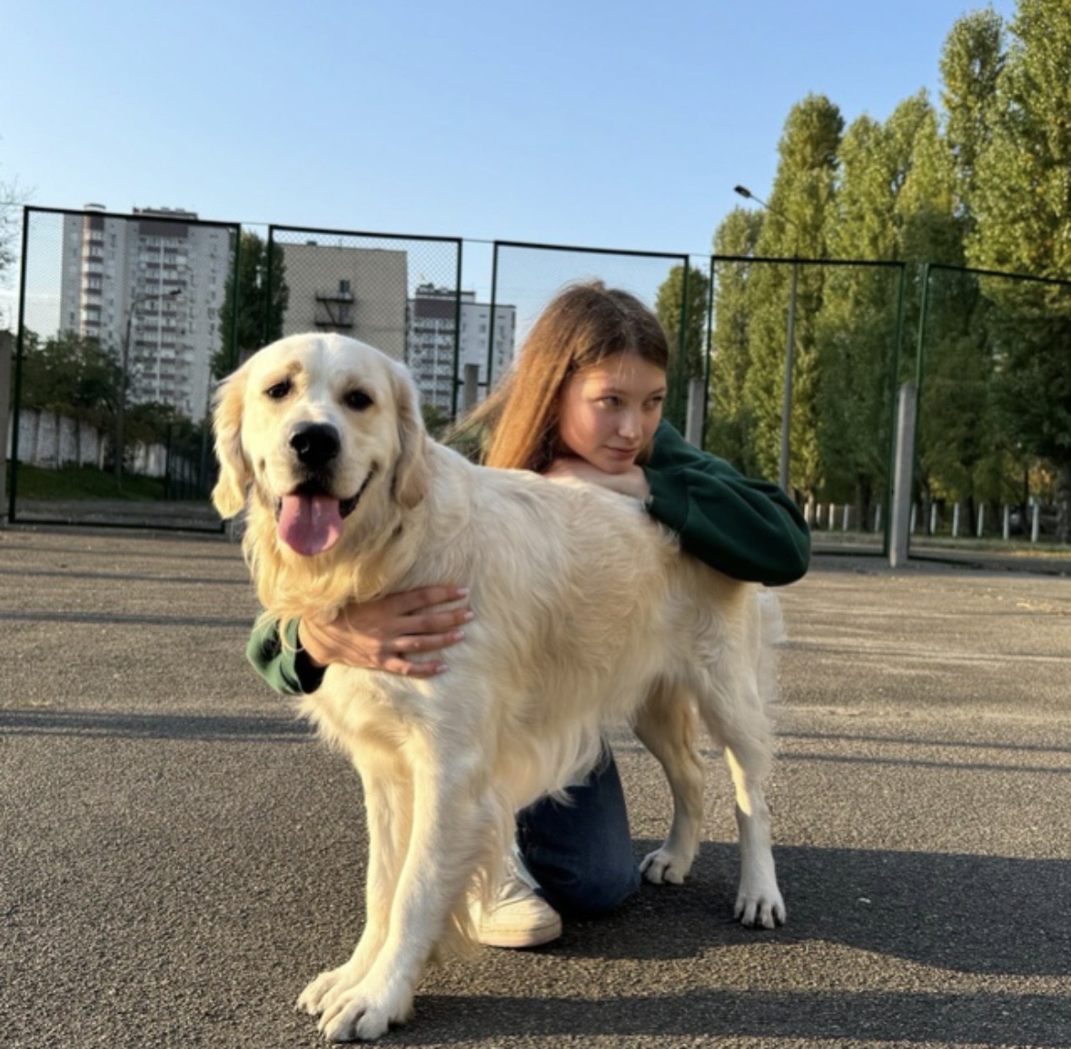 image-6