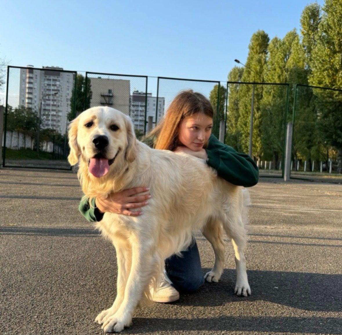 image-6