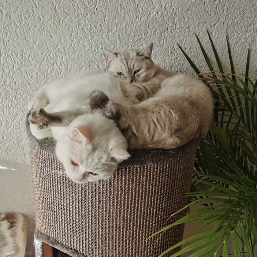 Isabelle und Bastian