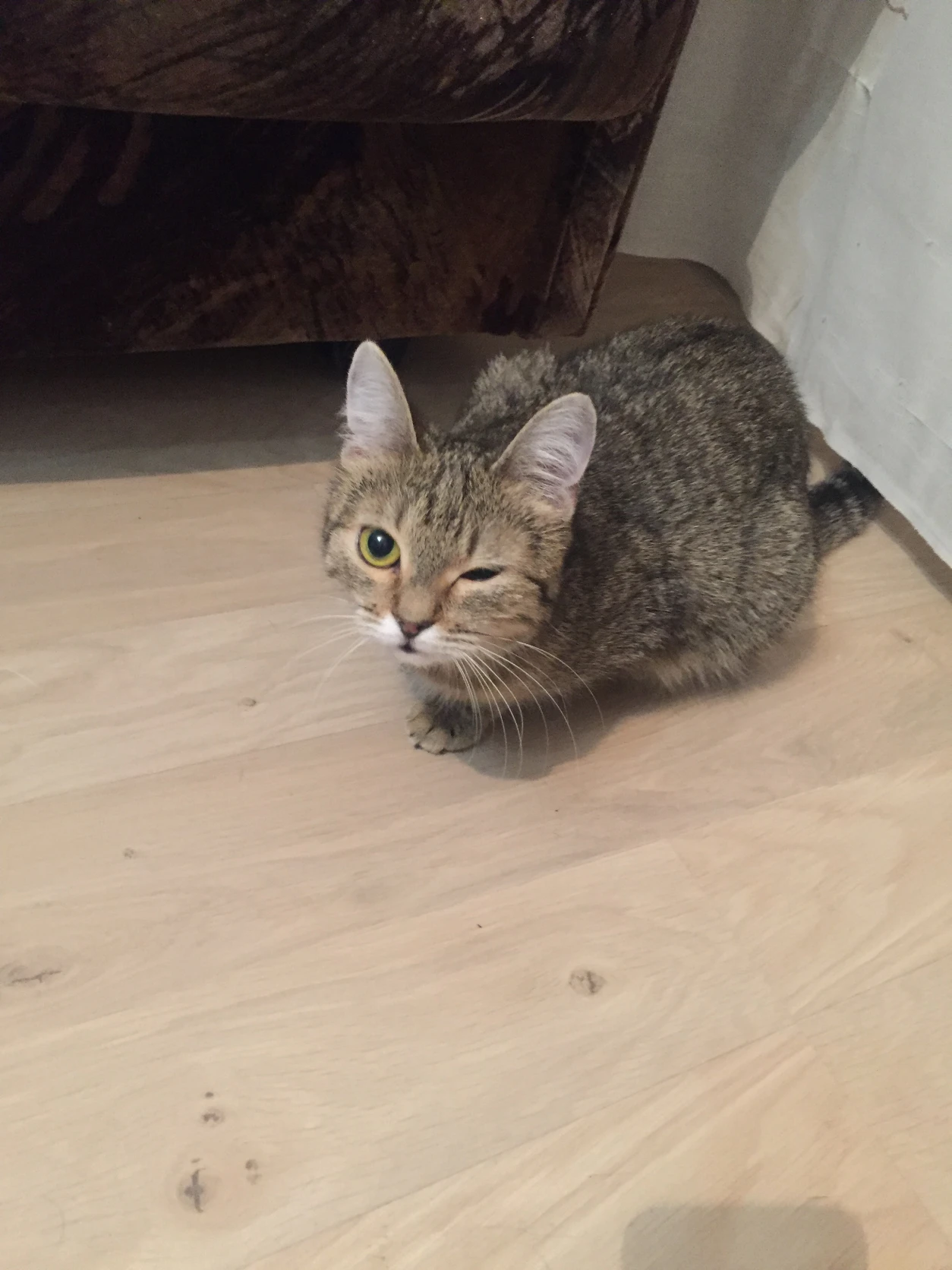 image-7