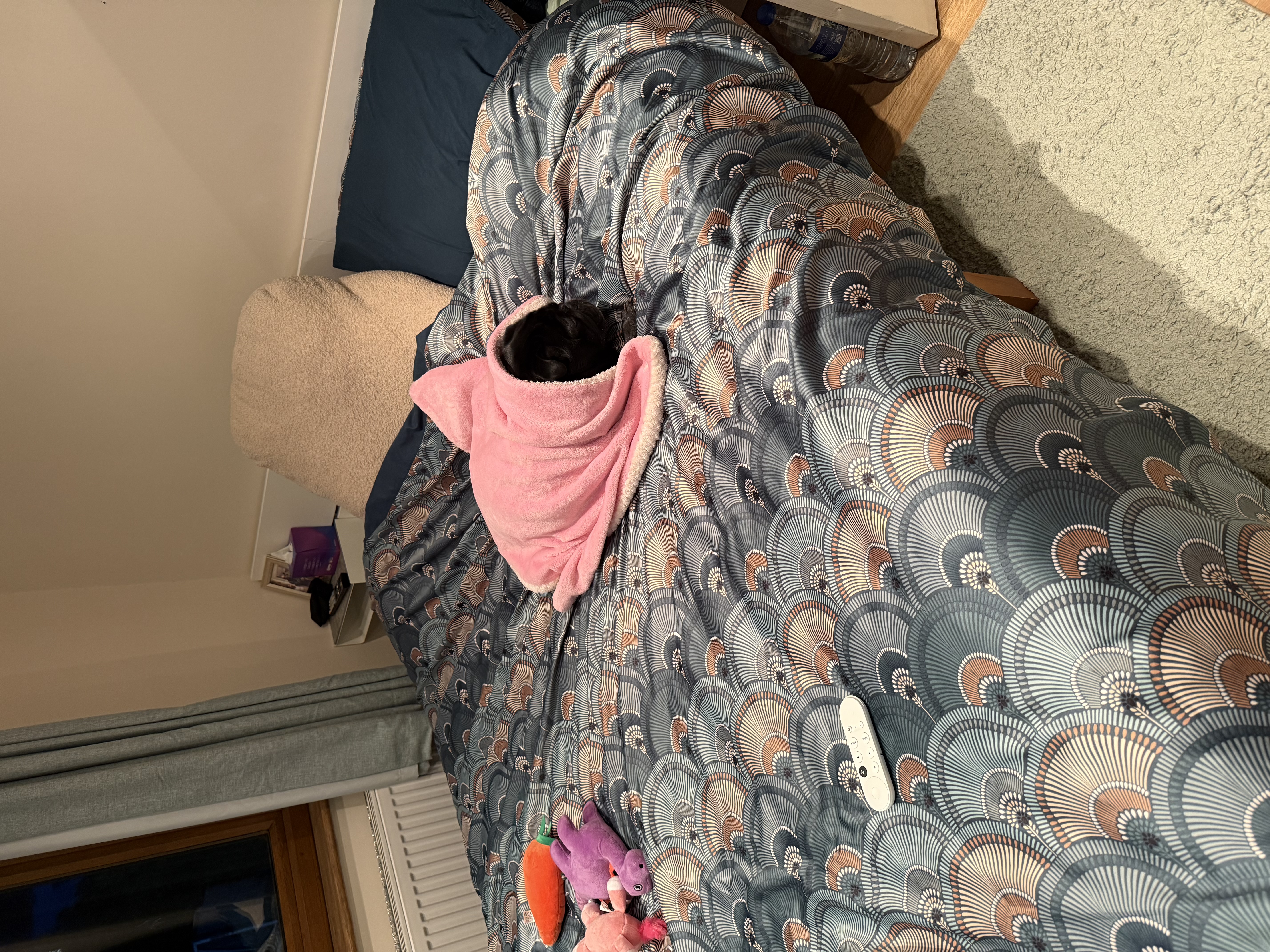 image-17