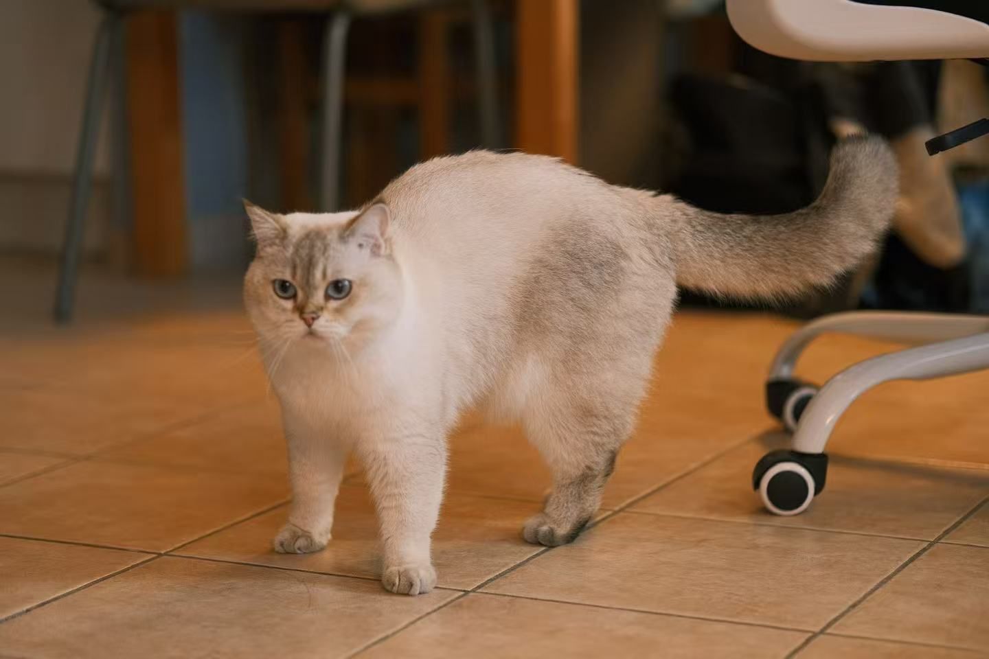 image-14