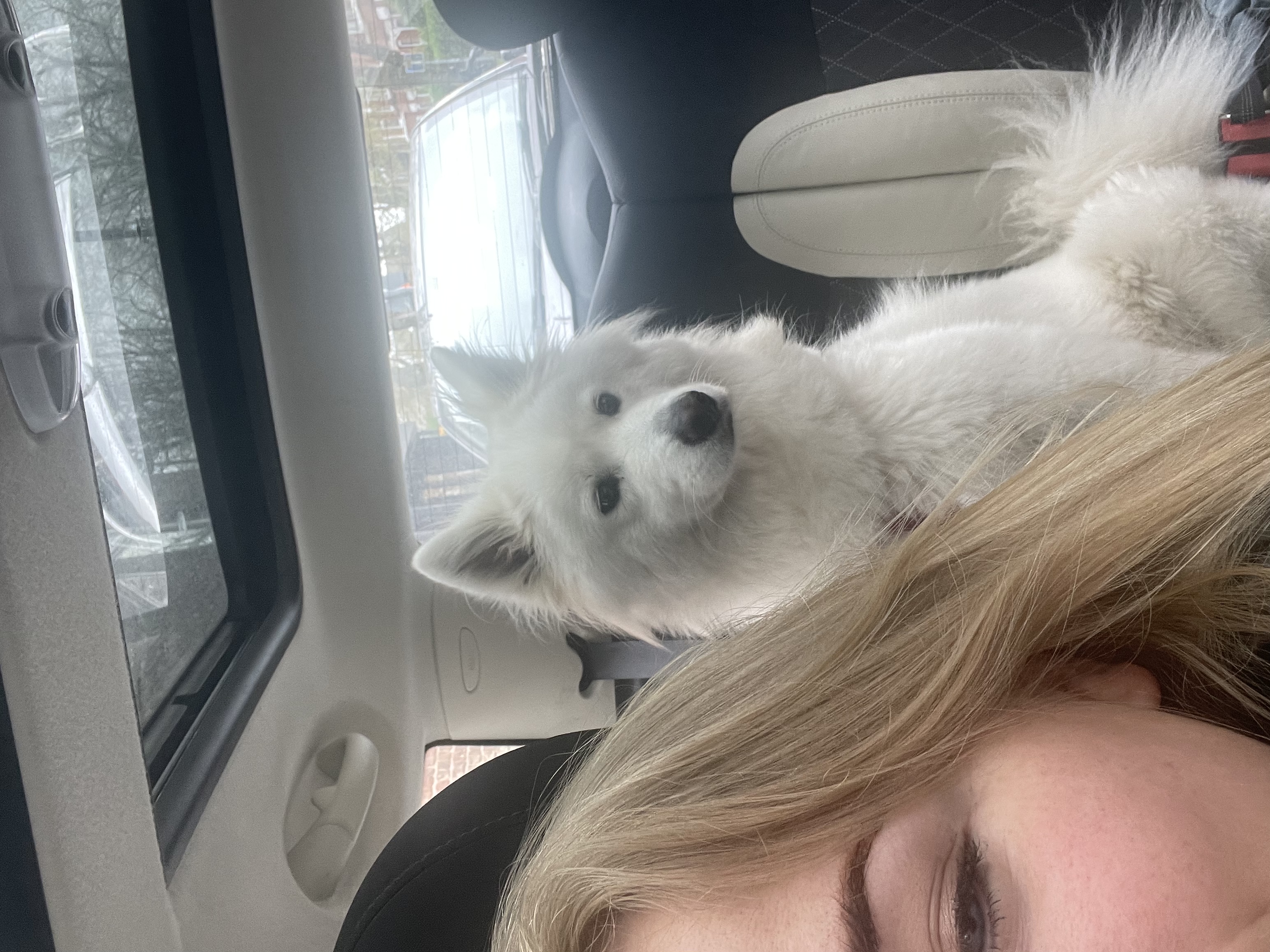 image-6