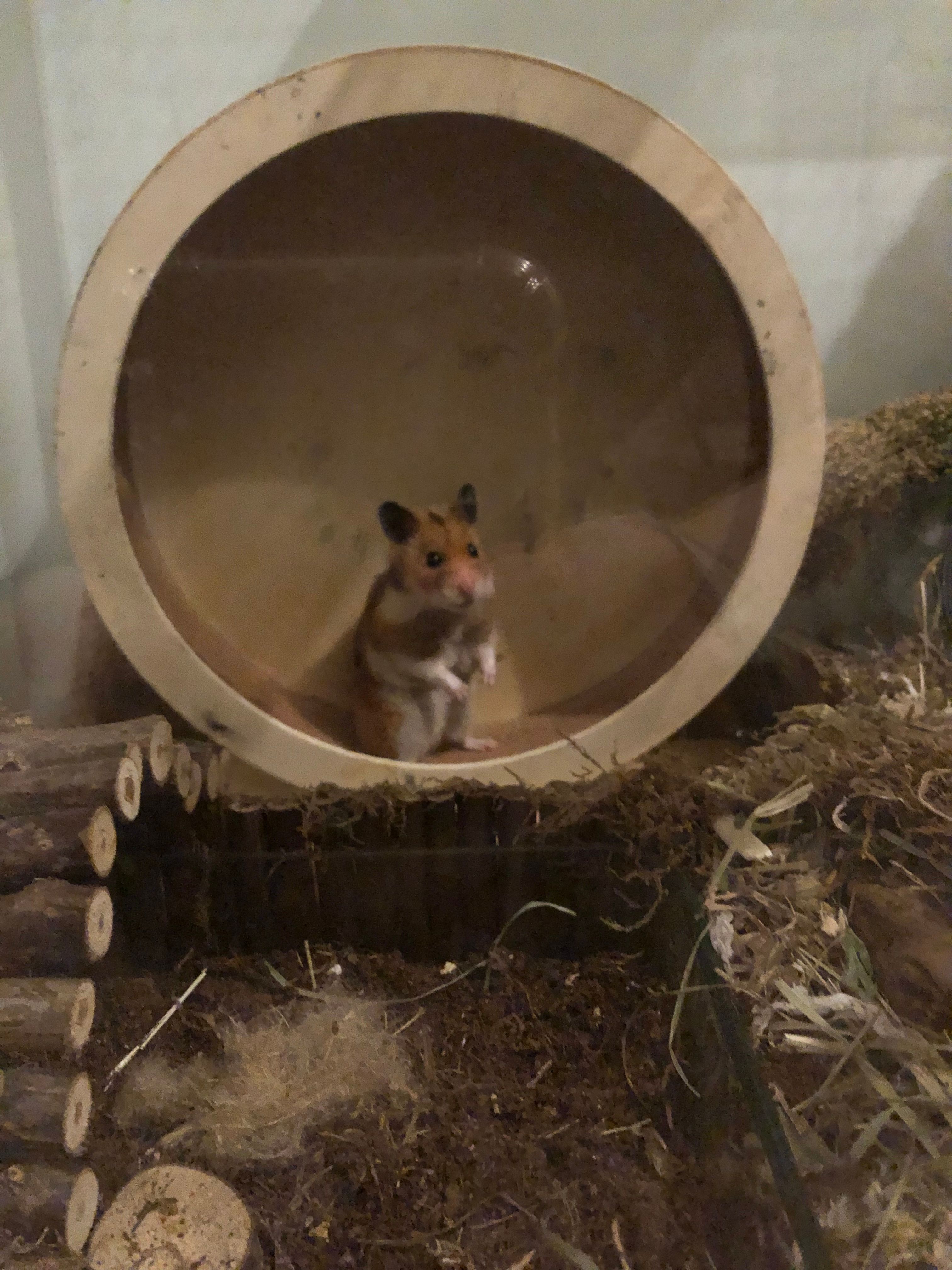 image-11