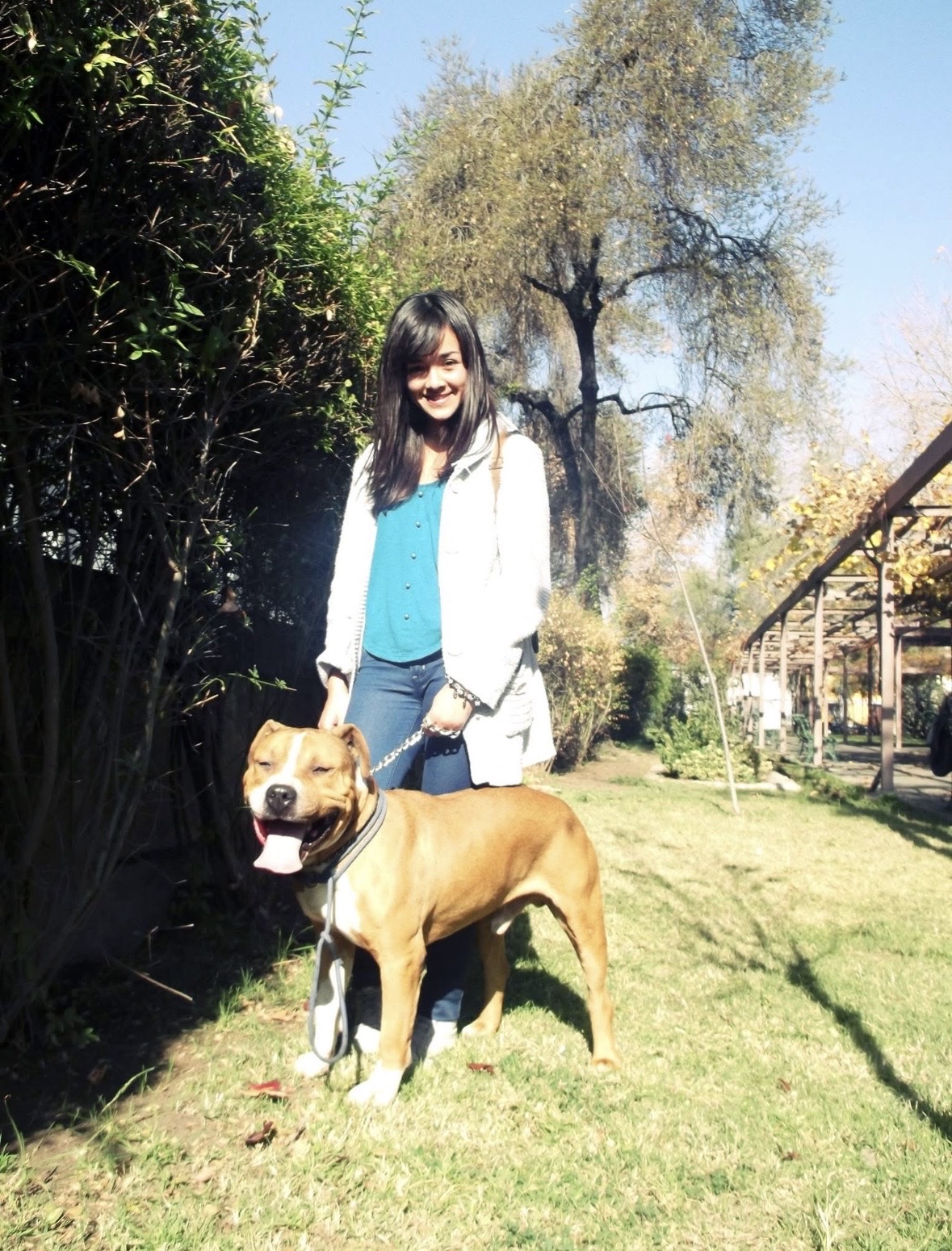 image-8