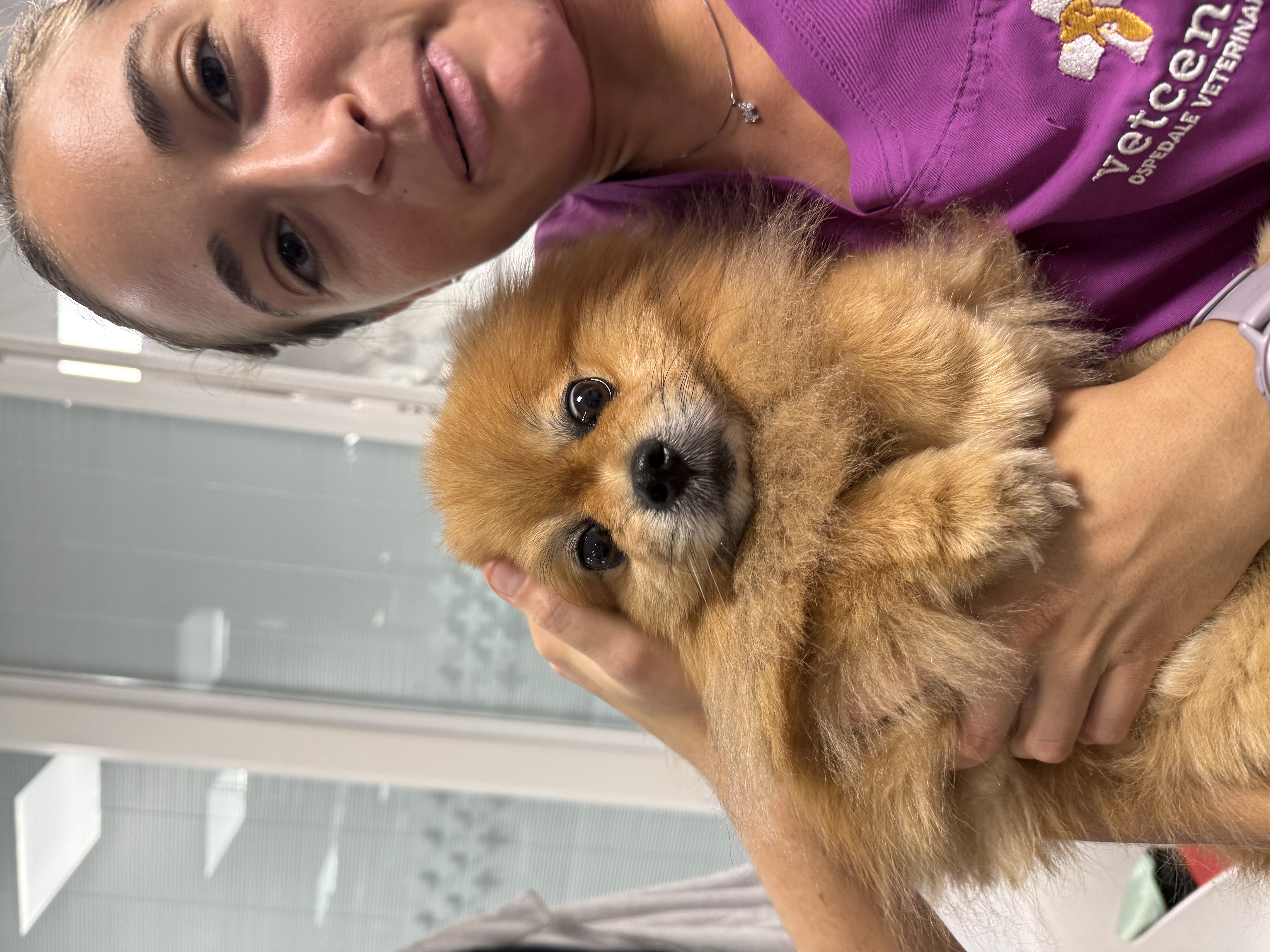 image-0