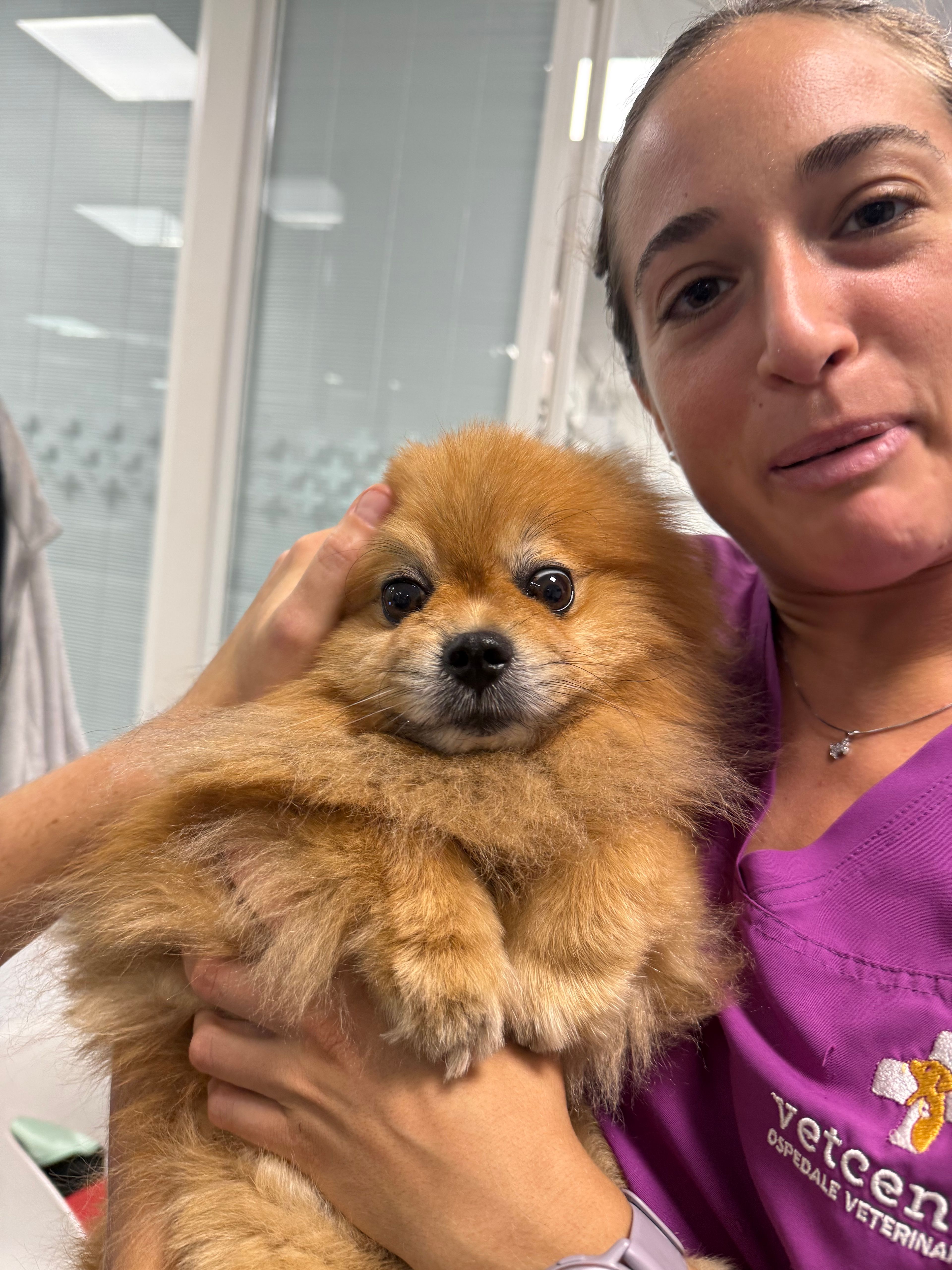 image-0