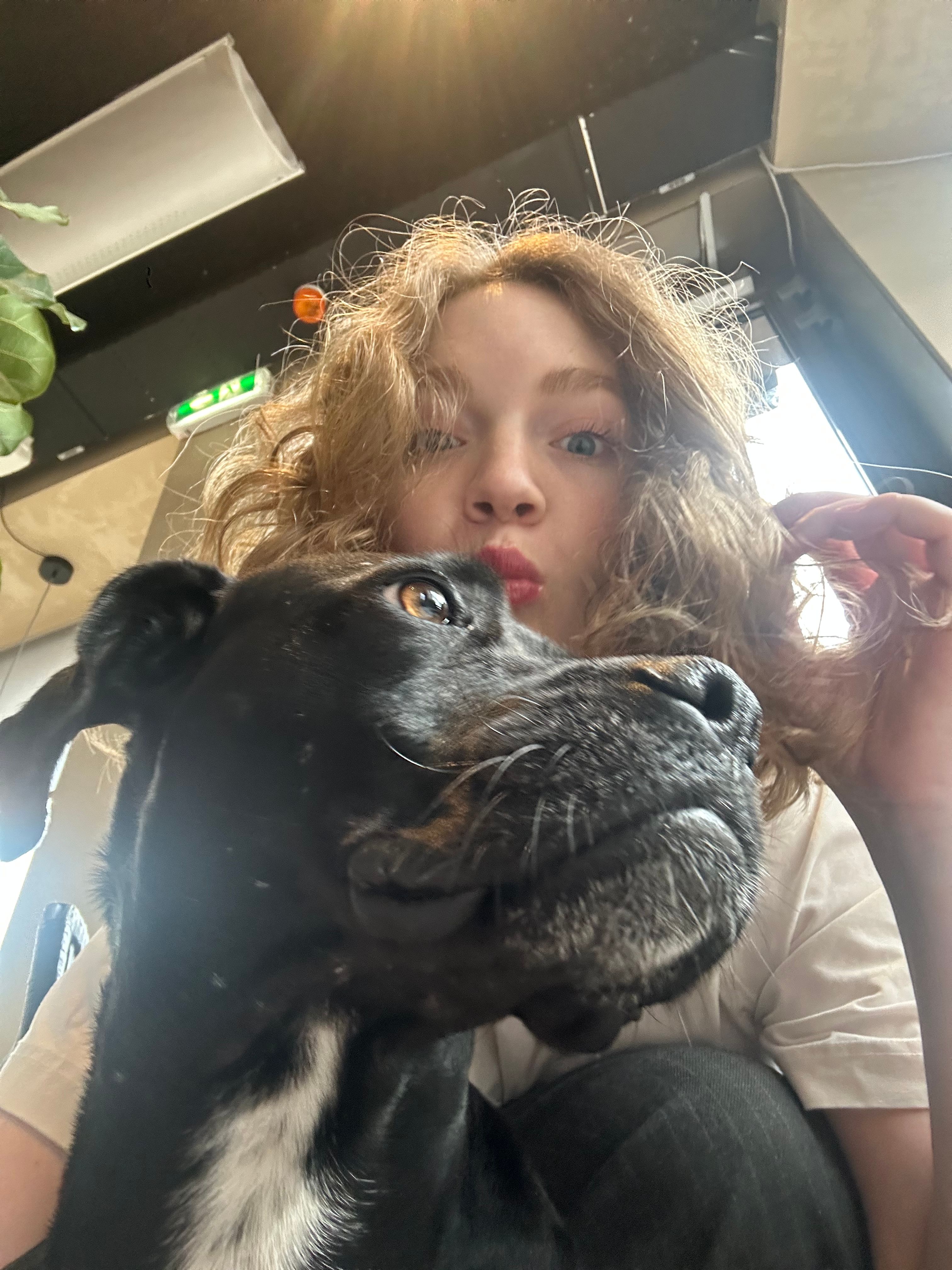 image-8