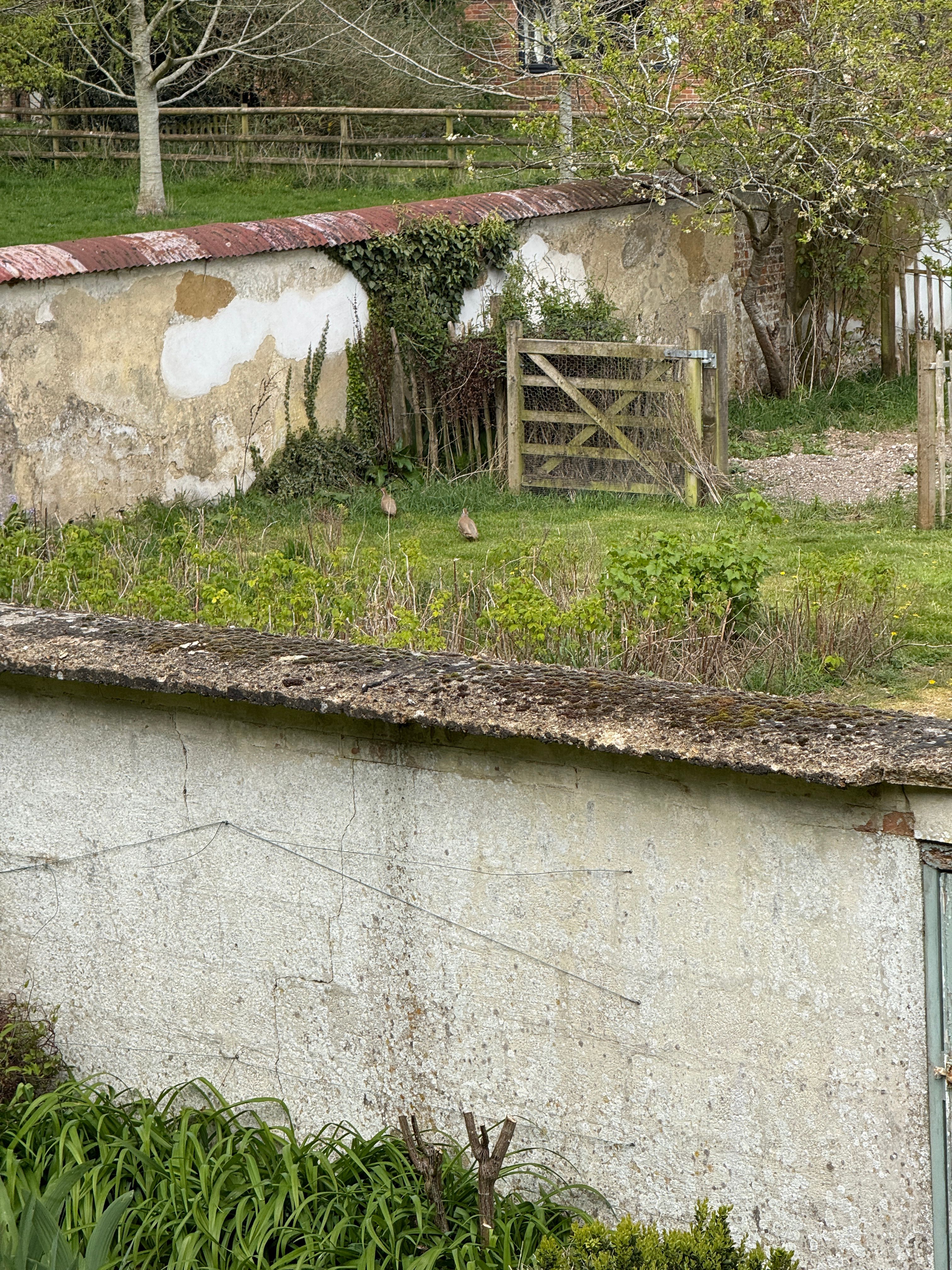 image-8