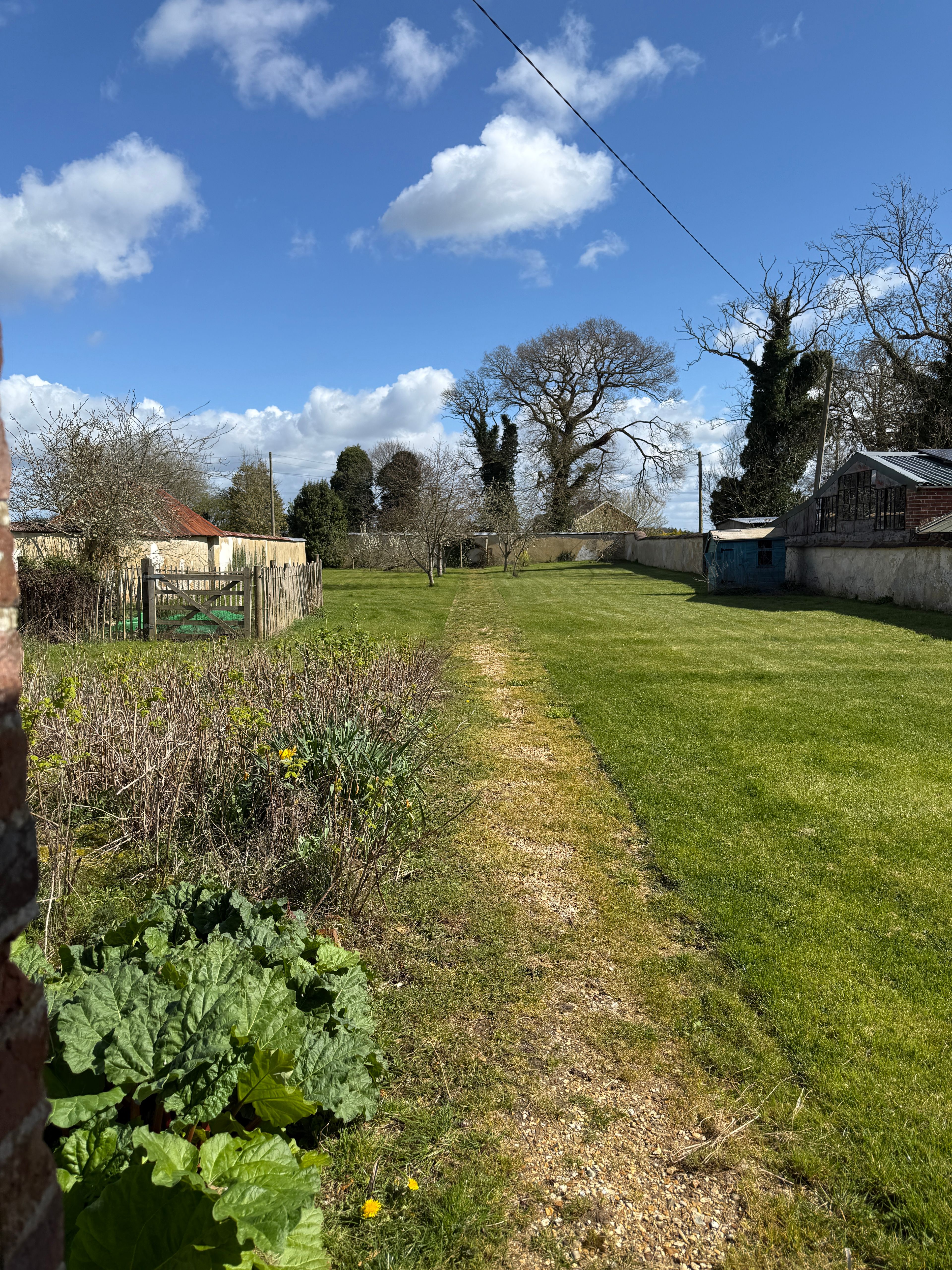 image-10
