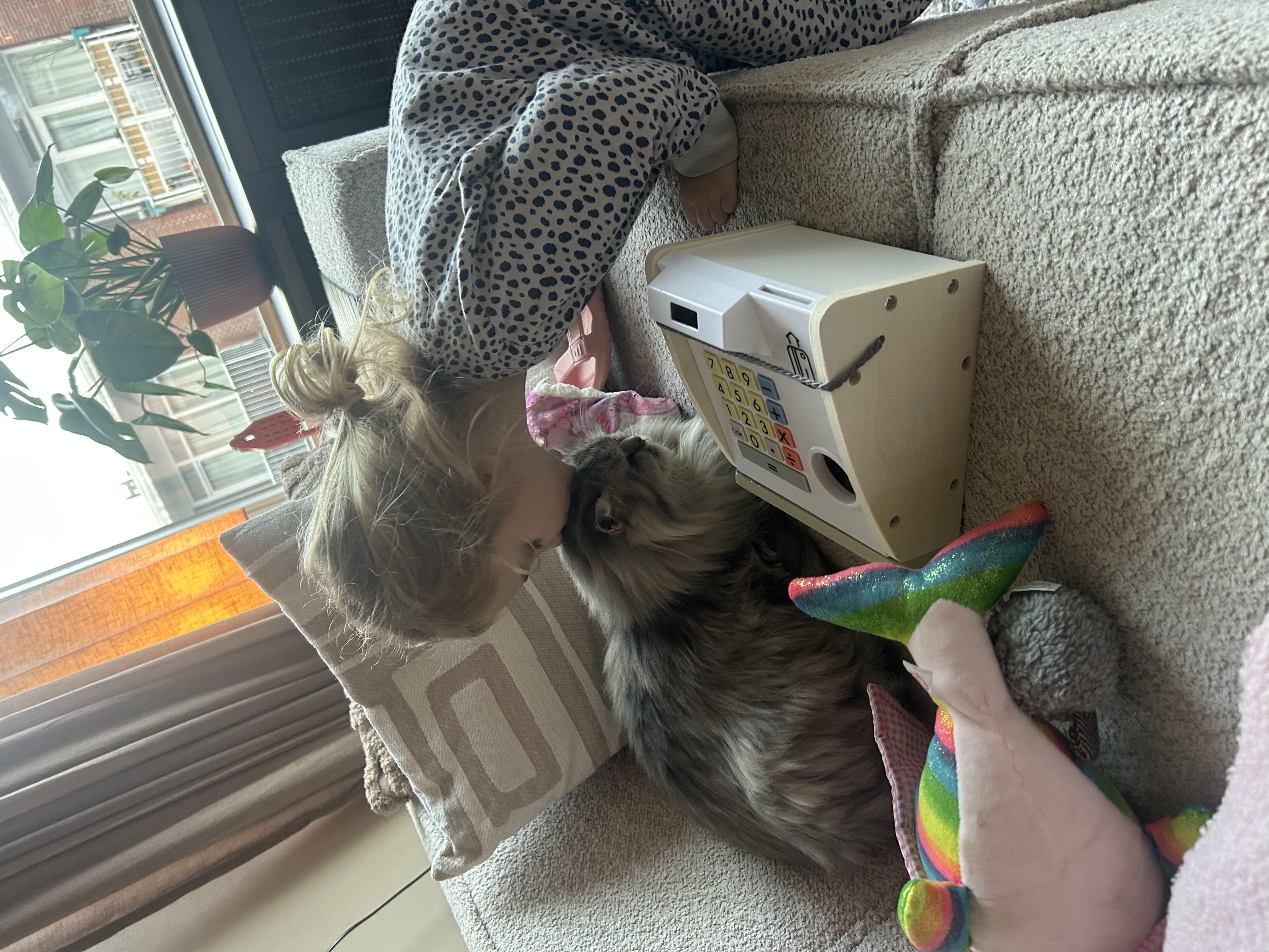 image-7