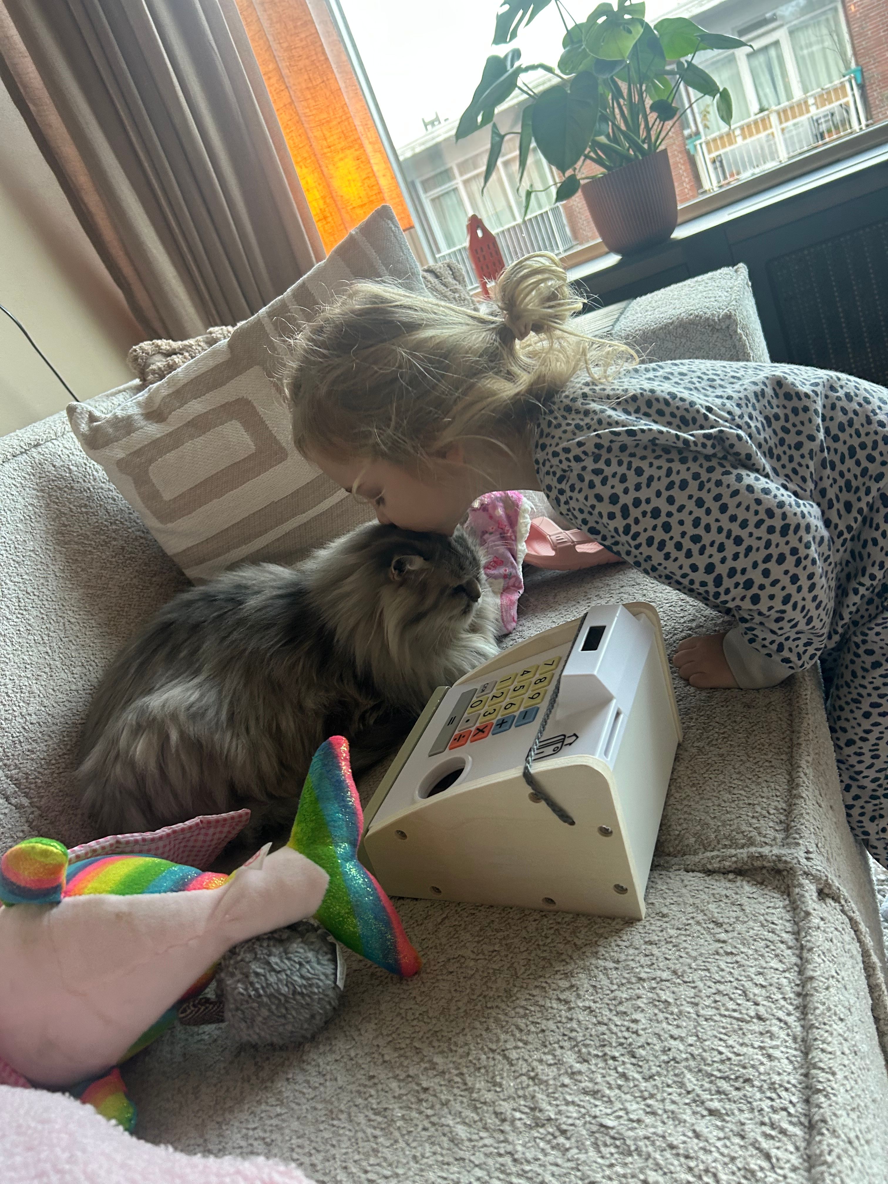 image-7