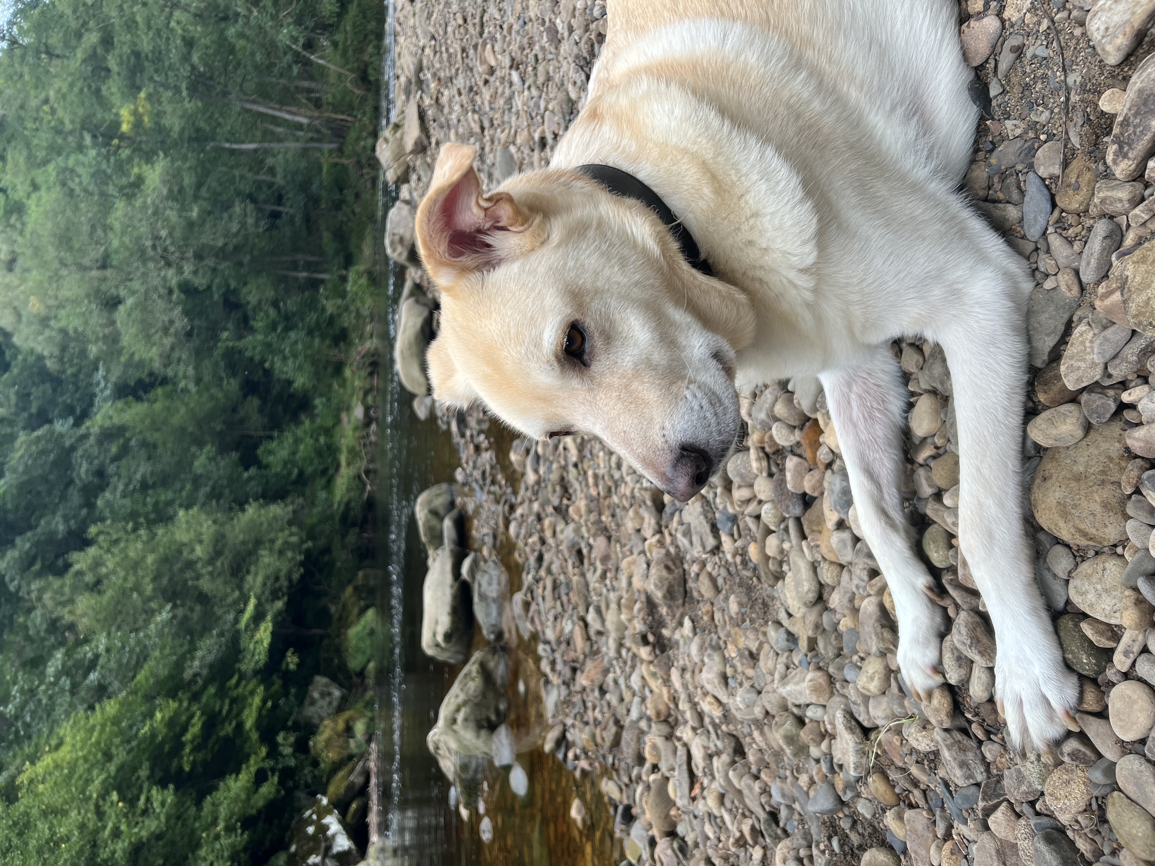 image-8