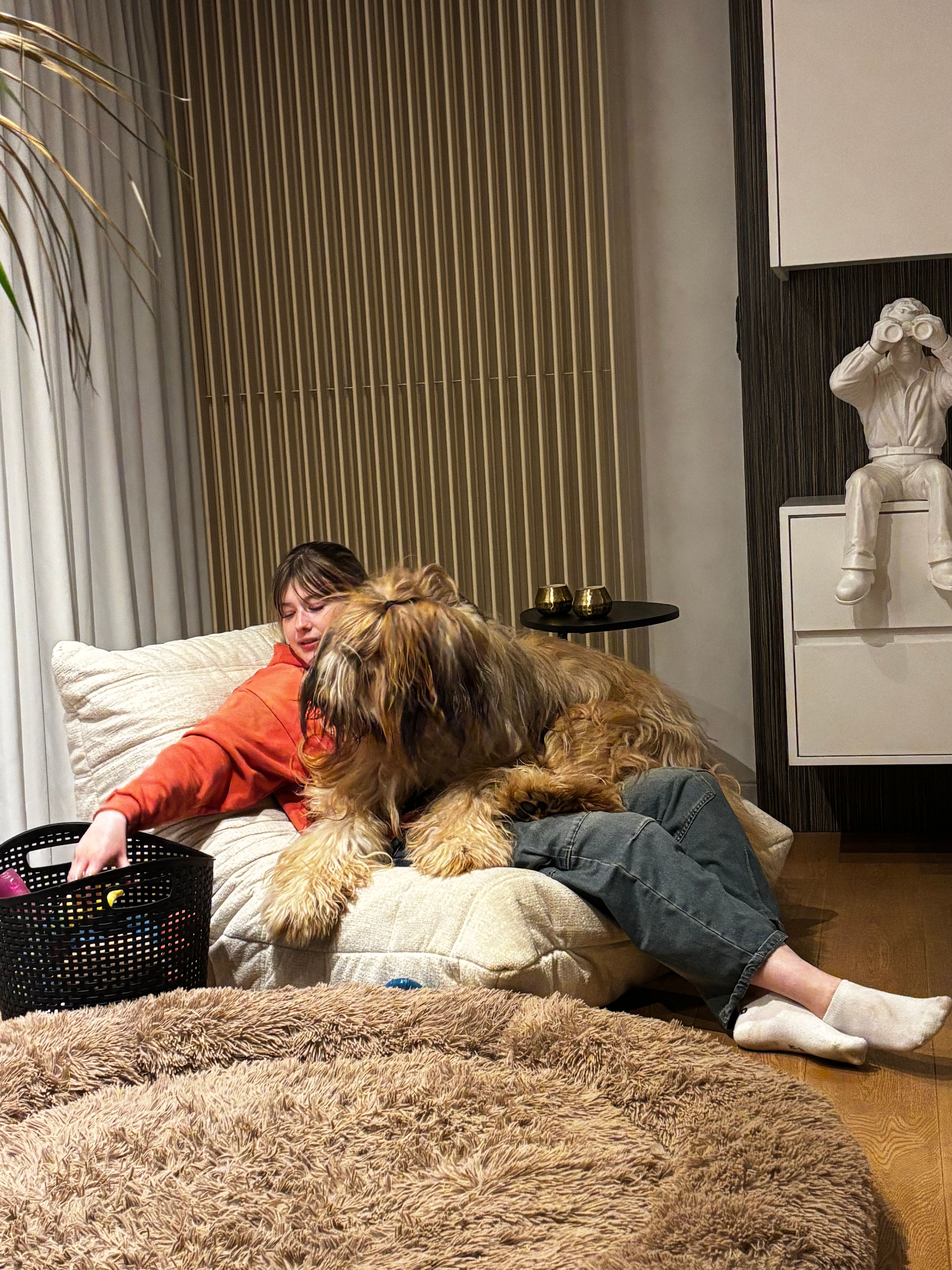 image-7