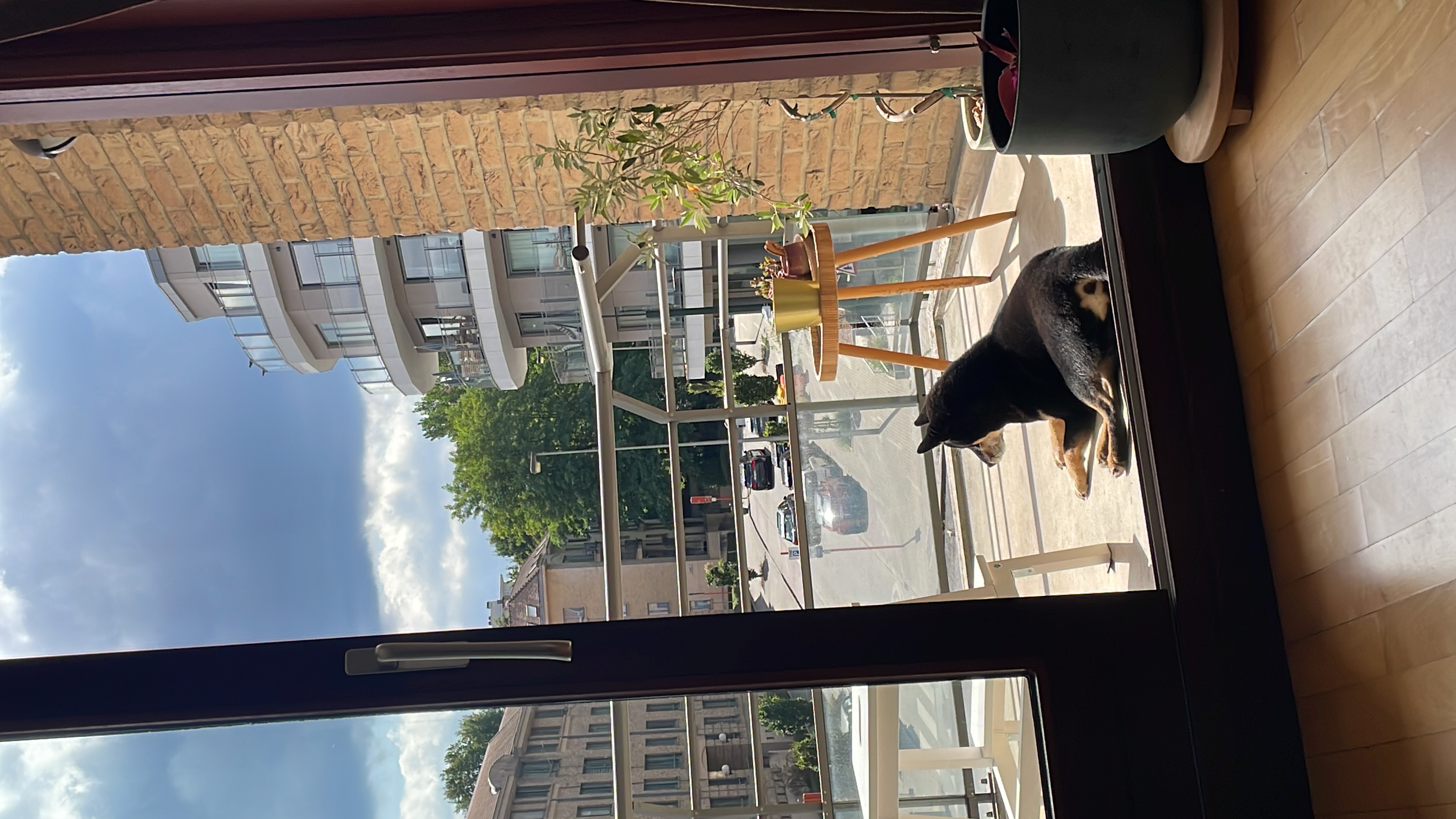 image-20