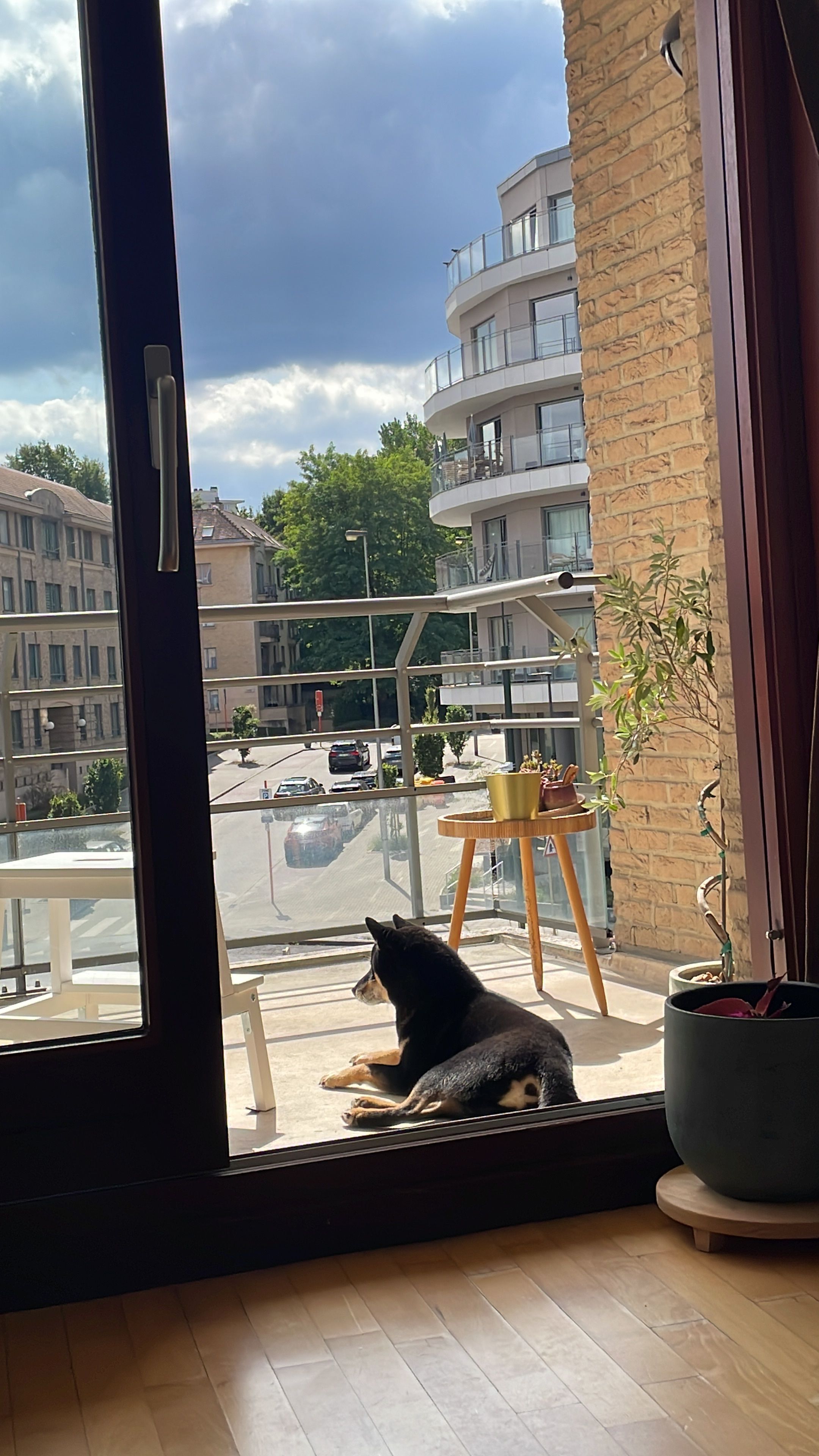 image-20