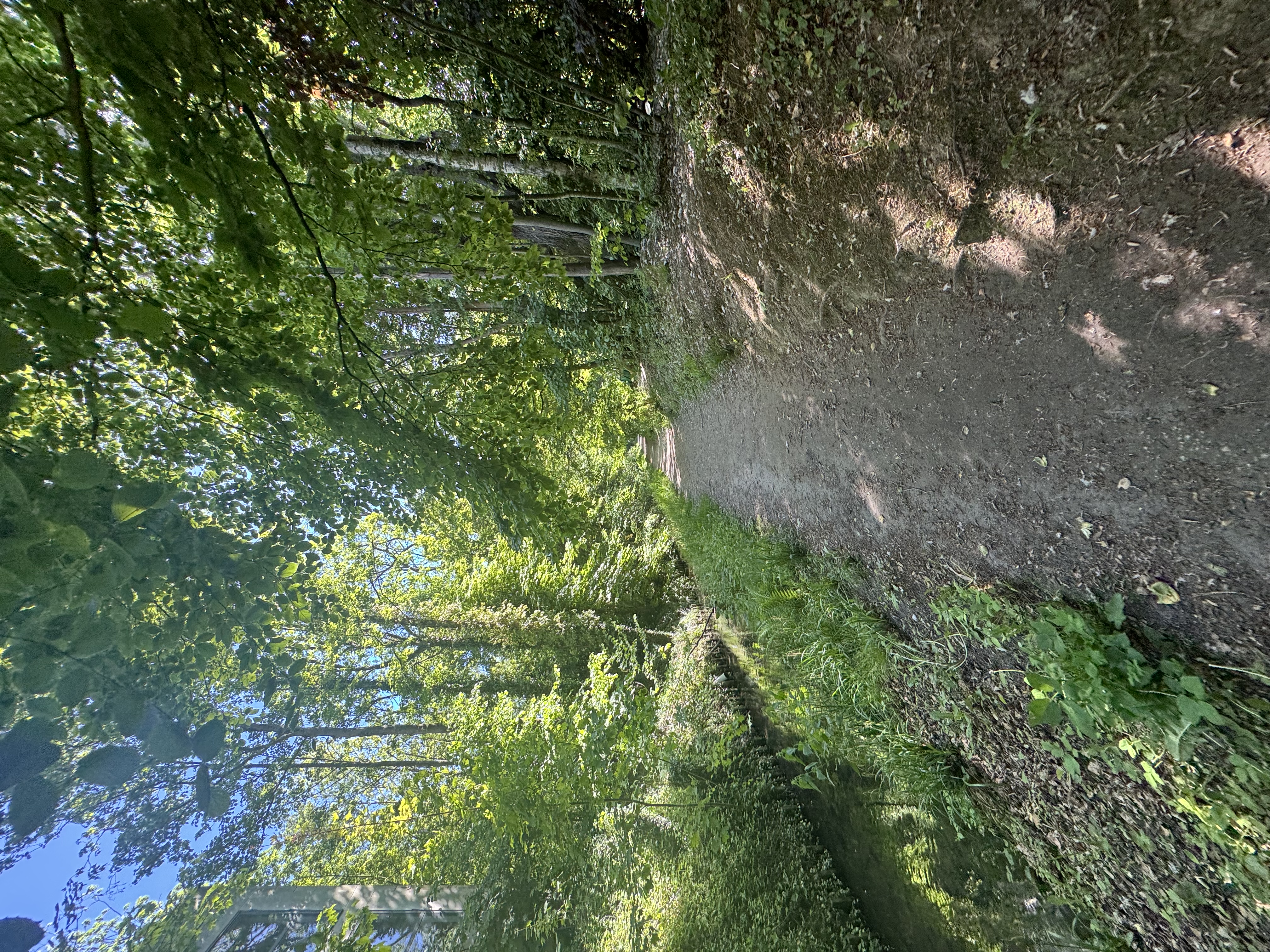 image-29